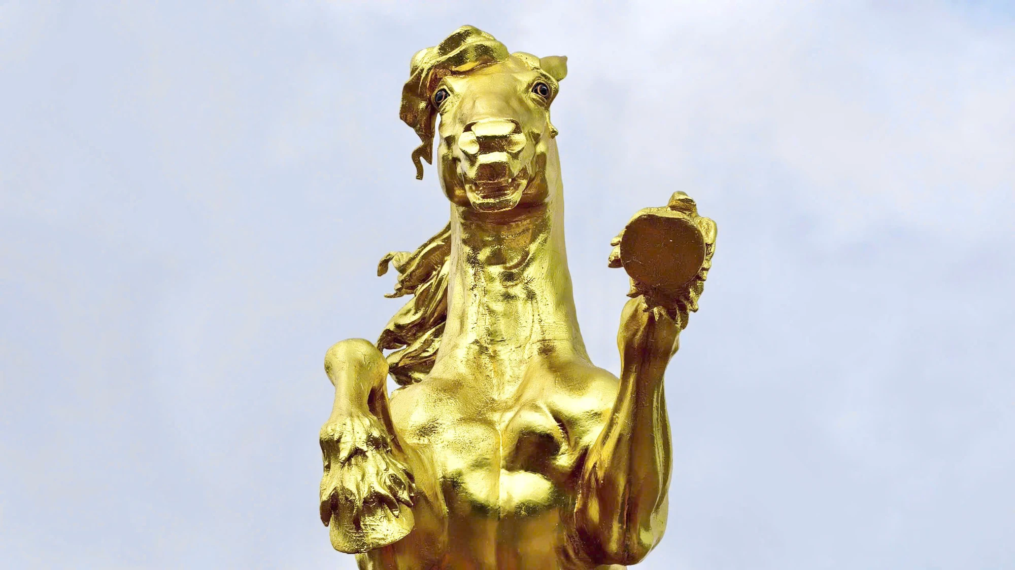 z7516834858867_4d58ff8e154e0f3f27e20b3f97c673c9.jpg