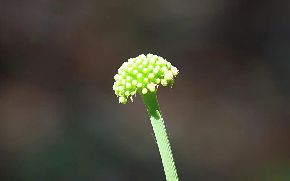 z7655961611267_3c705aff4780dd808fe90c0f7b4ca869.jpg