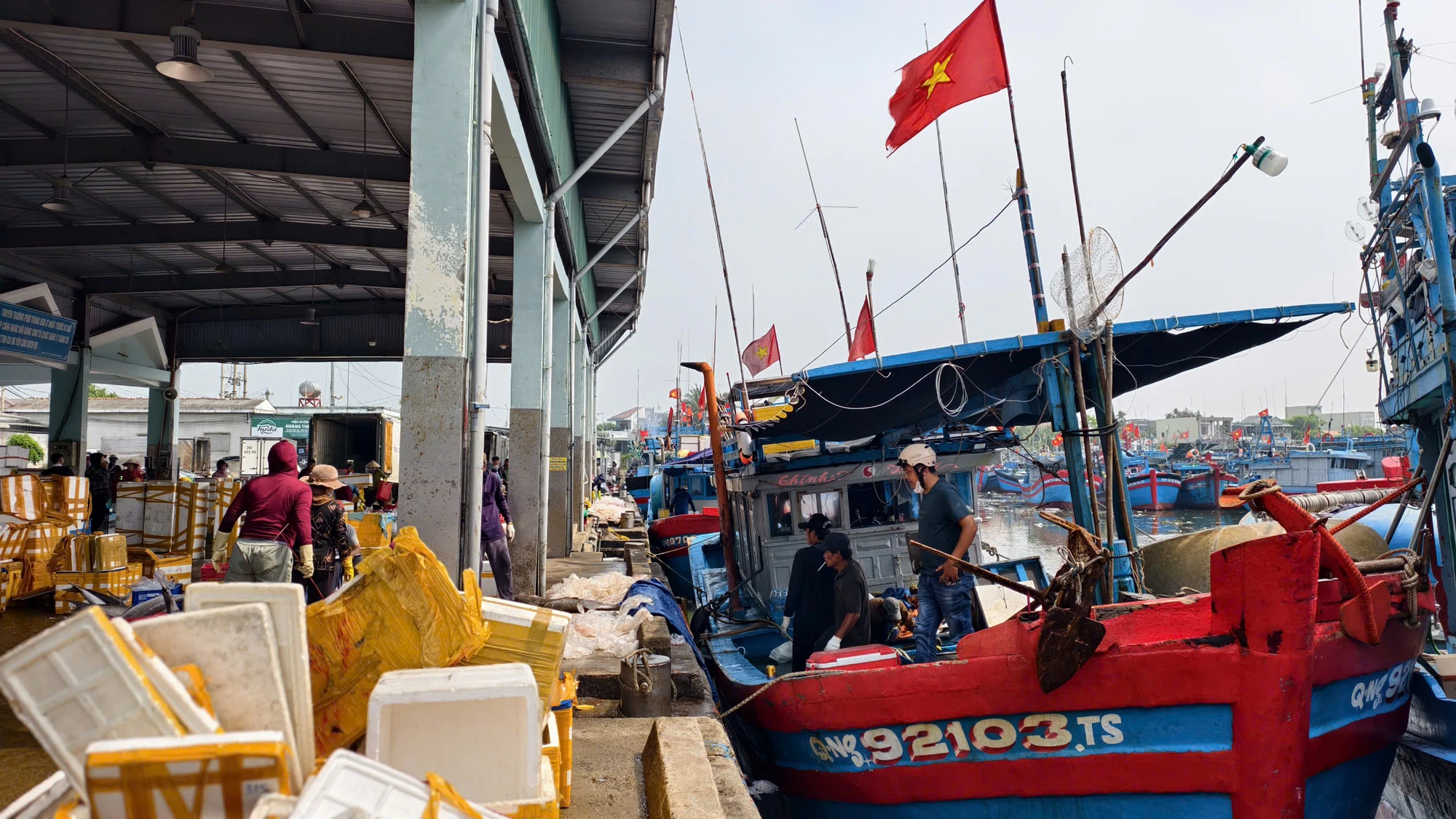 Tương tự, tàu cá QNg 92103 TS của ngư dân Đinh Văn Danh (trú xã An Phú) sau chuyến biển kéo dài 22 ngày cũng khai thác được hơn 6 tấn cá, thu về khoảng 380 triệu đồng. z7703290028164_2d2743e91c28425414e272d9feeef5c0.jpg