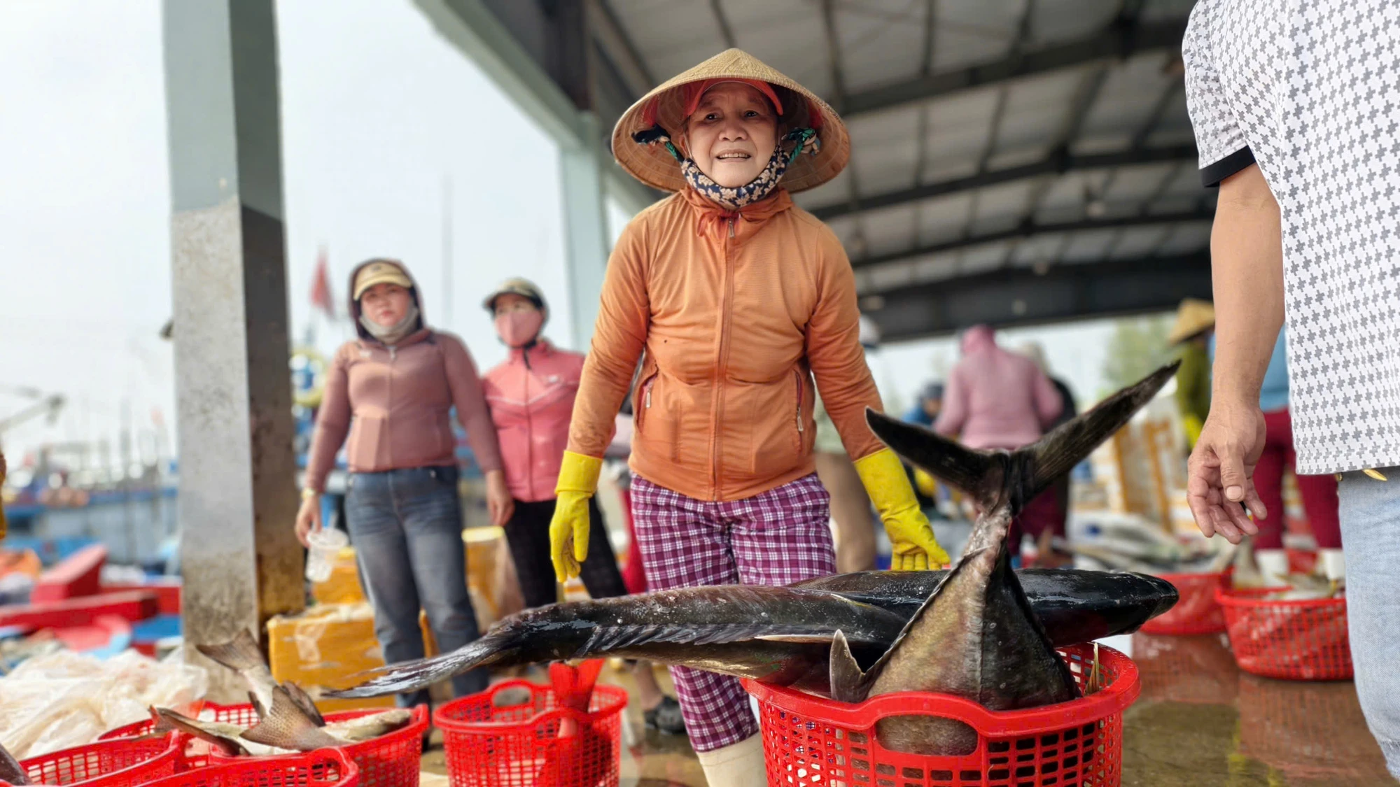 Nhiều tàu cá xa bờ cập cảng cá Tịnh Kỳ để bán cá sau nhiều ngày lênh đênh trên biển. Dù giá nhiên liệu tăng cao, các ngư dân Quảng Ngãi vẫn kiên trì vươn khơi, bám biển. z7703290080480_b207870a1aec63152a25c7b3bf6150a8.jpg