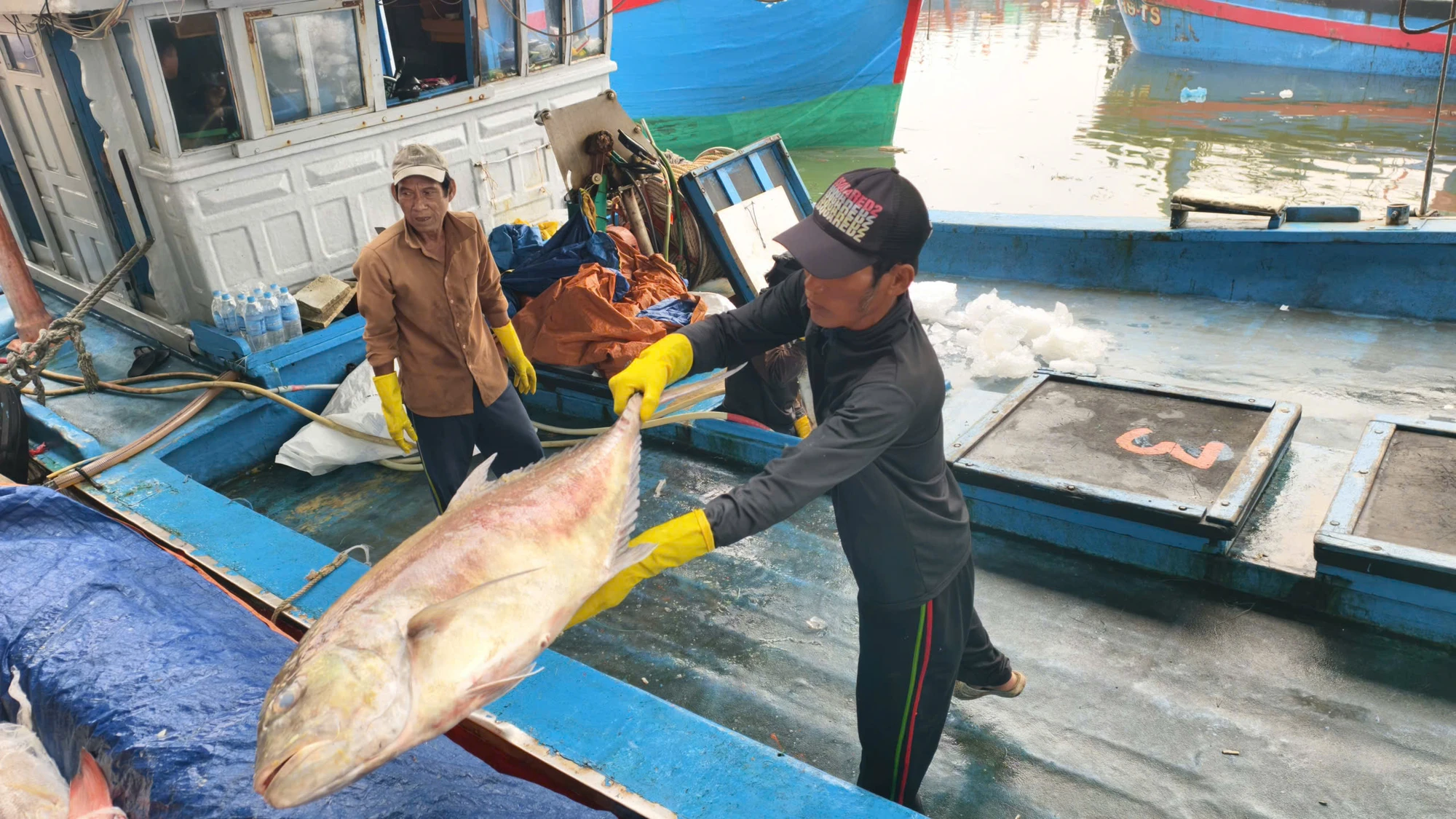 Những khoang cá đầy ắp được khẩn trương bốc dỡ lên bờ, mang theo niềm vui của ngư dân, nhưng cũng xen lẫn không ít nỗi lo trong bối cảnh giá nhiên liệu tăng cao. z7703292999368_182152aa5ace0562bf77e20dabb88982.jpg