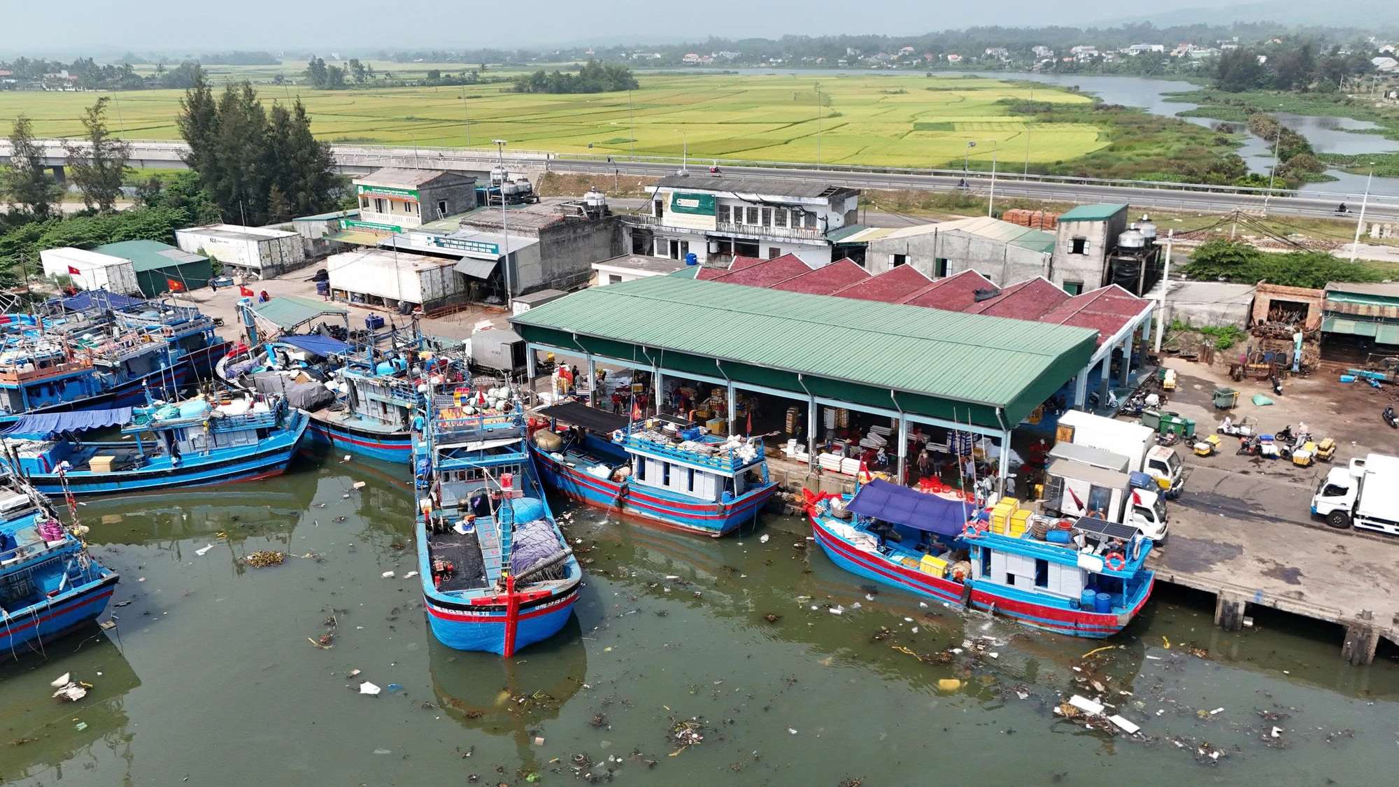 Những ngày này, tại cảng cá Tịnh Hòa (xã Đông Sơn, tỉnh Quảng Ngãi), không khí trở nên nhộn nhịp khi nhiều tàu cá xa bờ liên tục cập bến sau những chuyến vươn khơi dài ngày. z7703572318888_b6d47c7cc90c770e15afa6d28d411b16.jpg