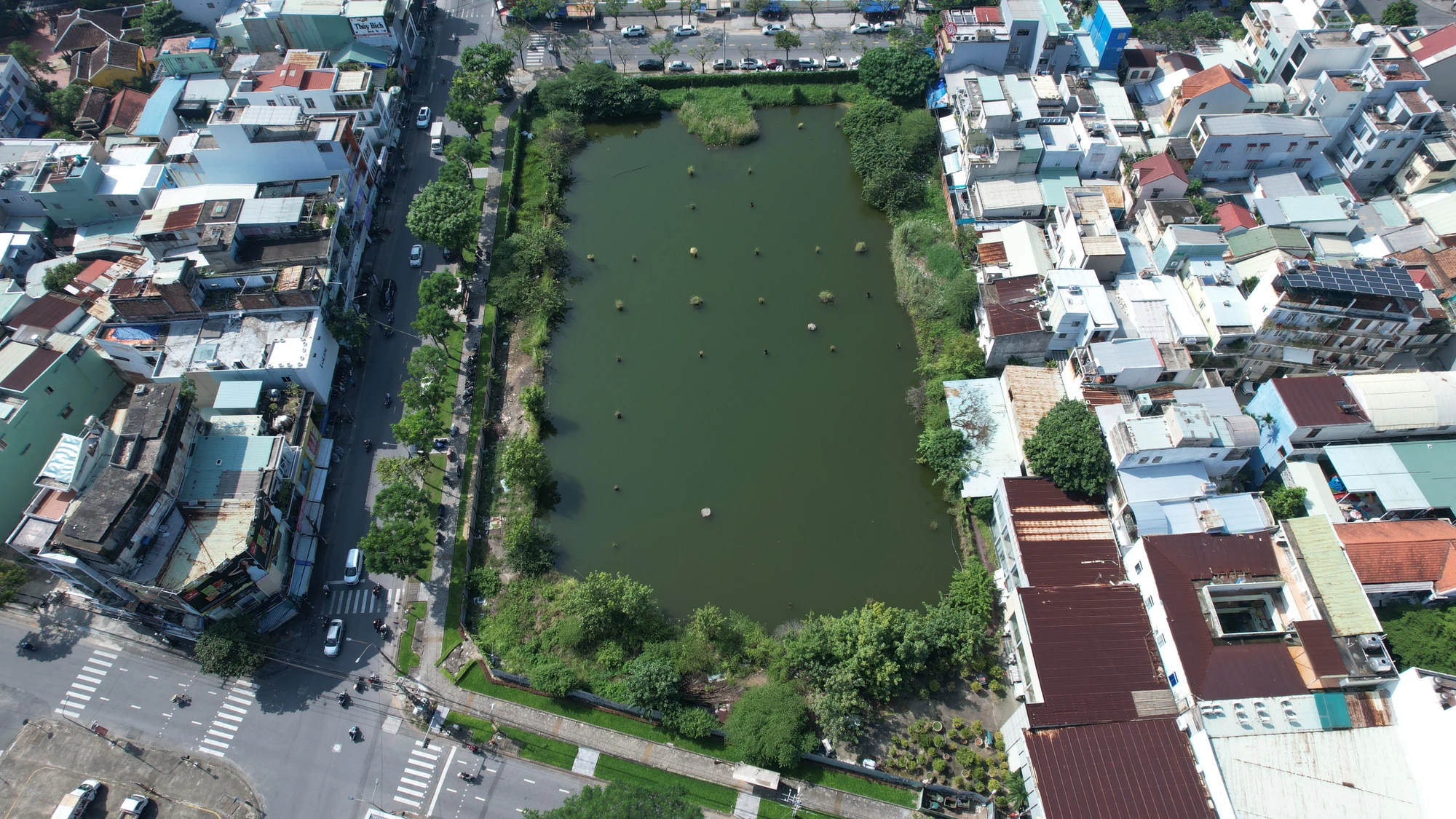 khu-dat-vang-da-nang-mong-7162-426.jpg