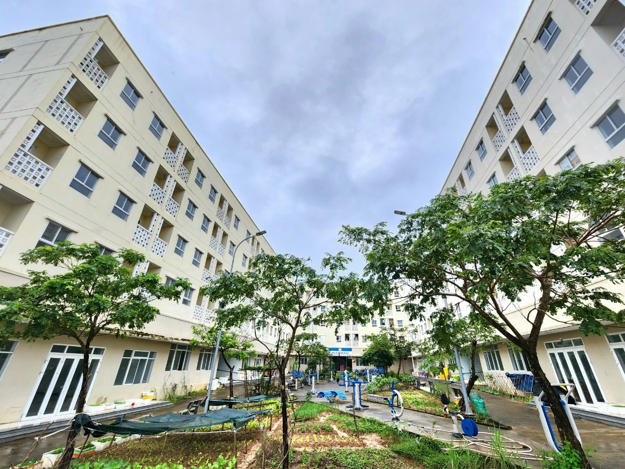 toan-canh-1329.jpg