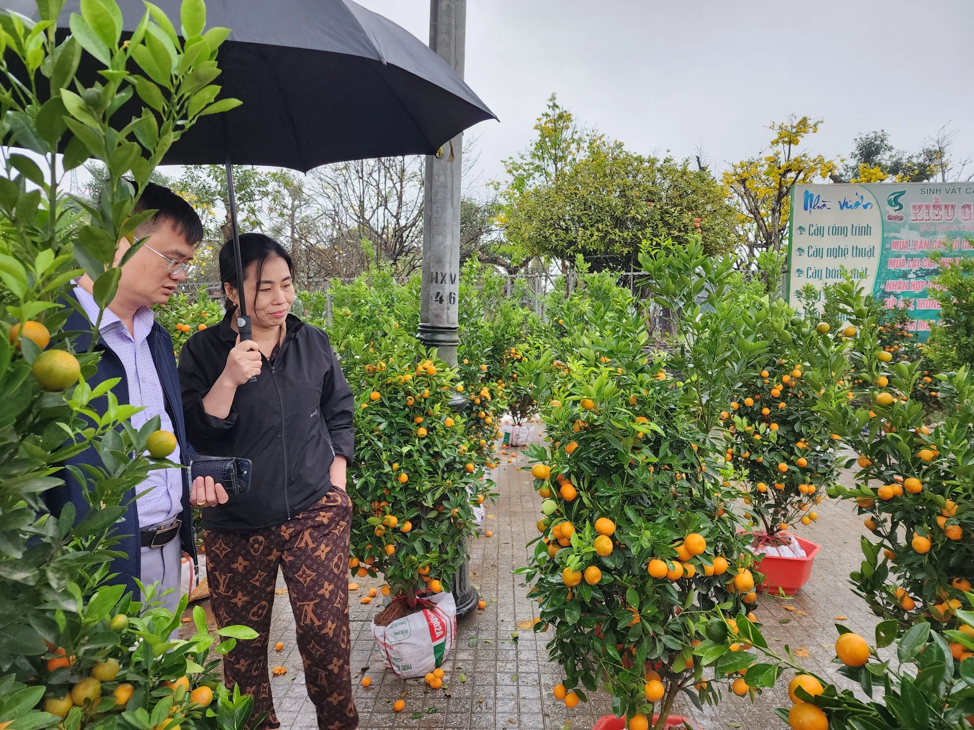 30-tet-vo-chong.jpg