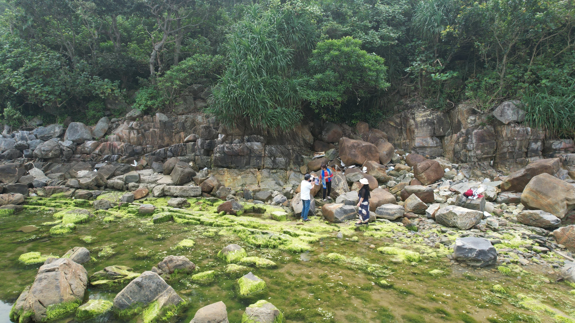 canh-toan.JPG