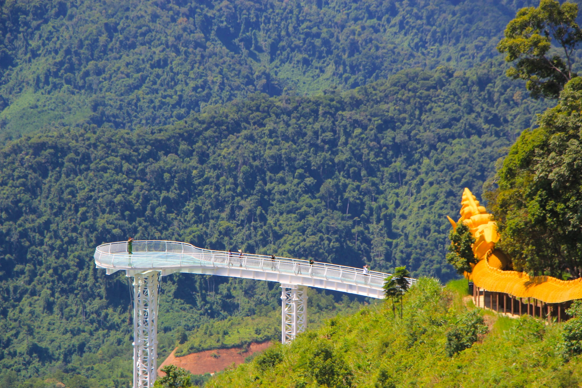 cau-kinh-rong.JPG