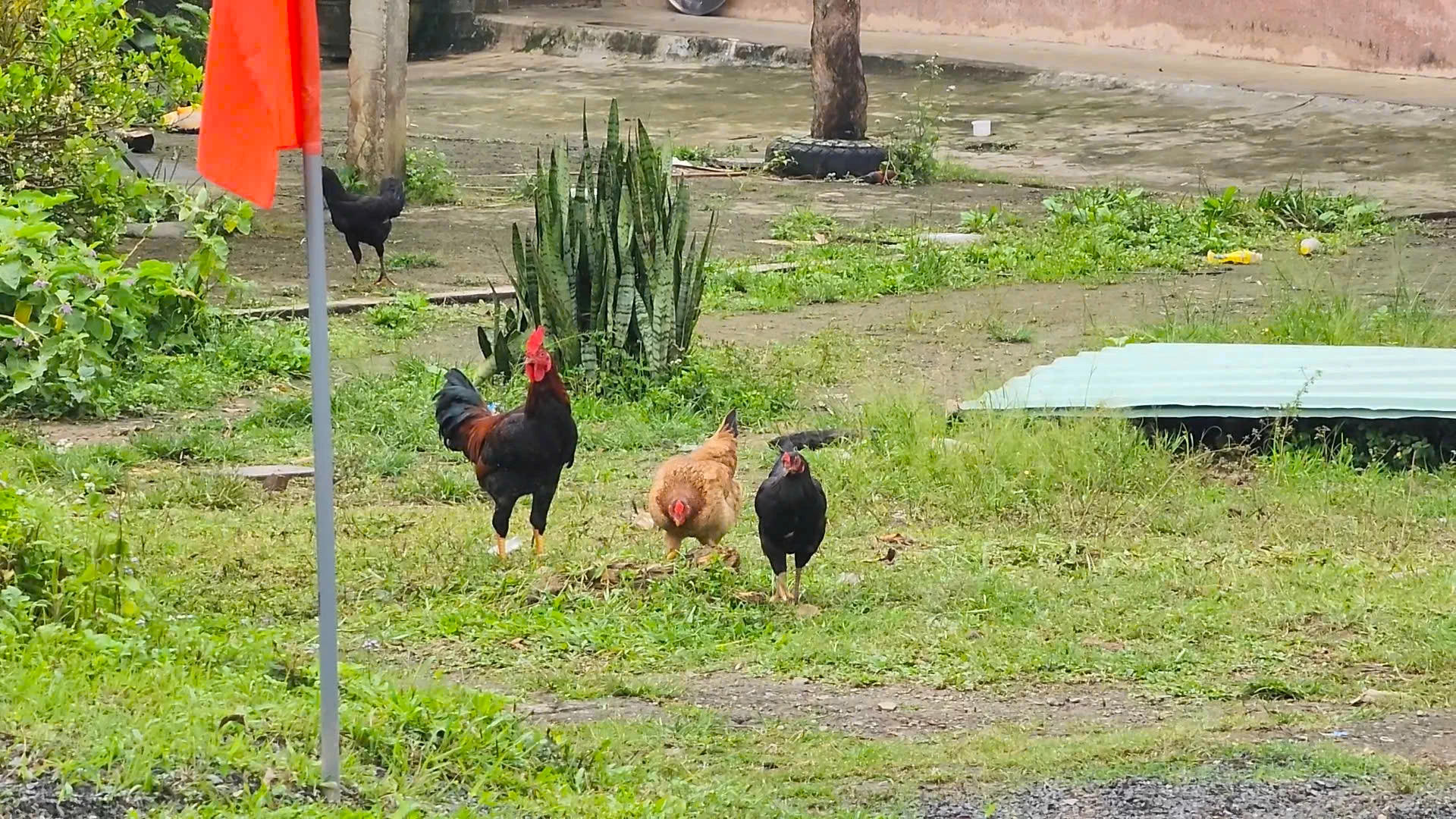 nong-nghiep.jpg