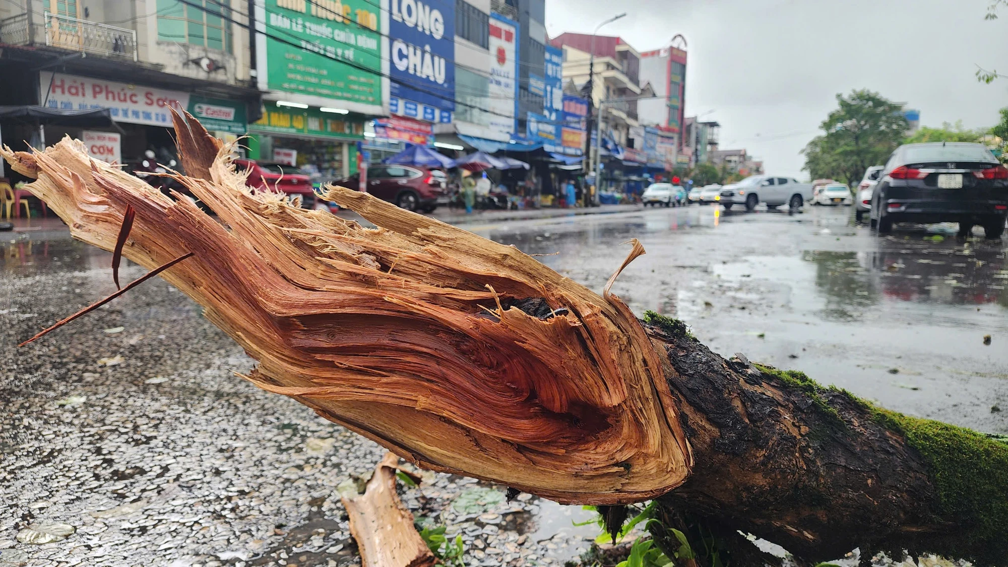 gen-h-z6960184348097_f27c7a7825f4ce6aaf94ae5e3da1e623.jpg