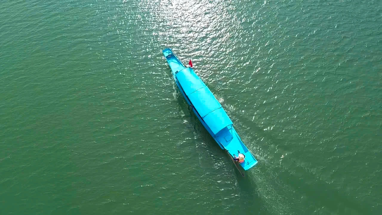 3333410976729215086.jpg
