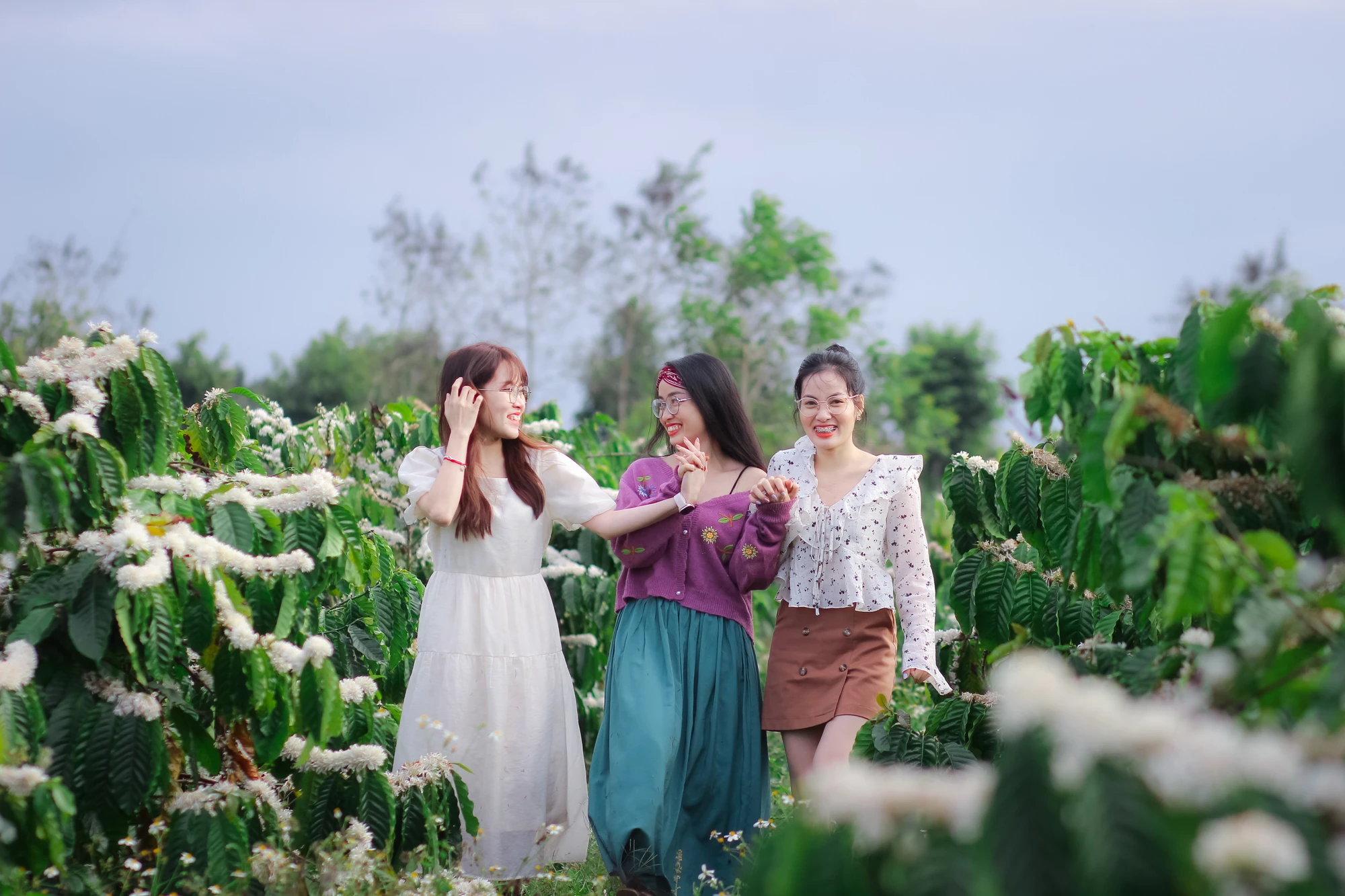 Những 'đồi tuyết trắng’ trên cao nguyên 