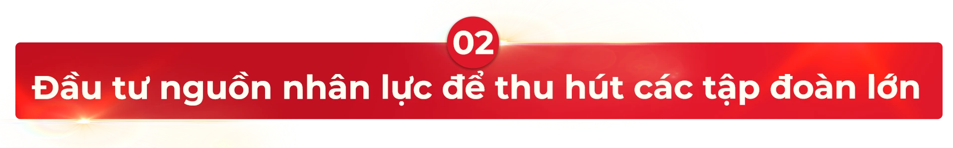 TP.HCM-thu-hut-nguon-nhan-luc-tre-10.png