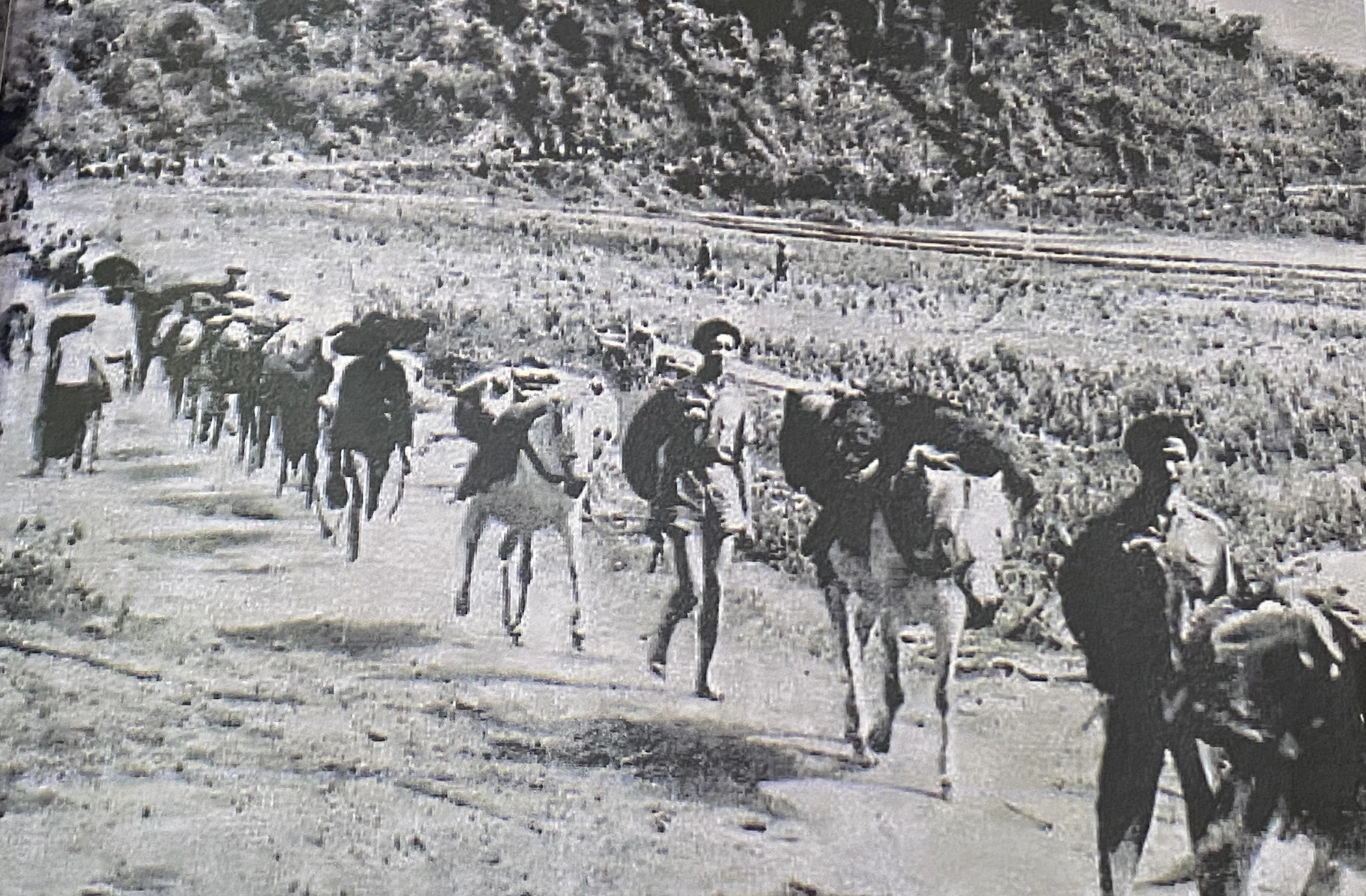 chien-dich-dien-bien-phu-dong-bao-tay-bac.jpg