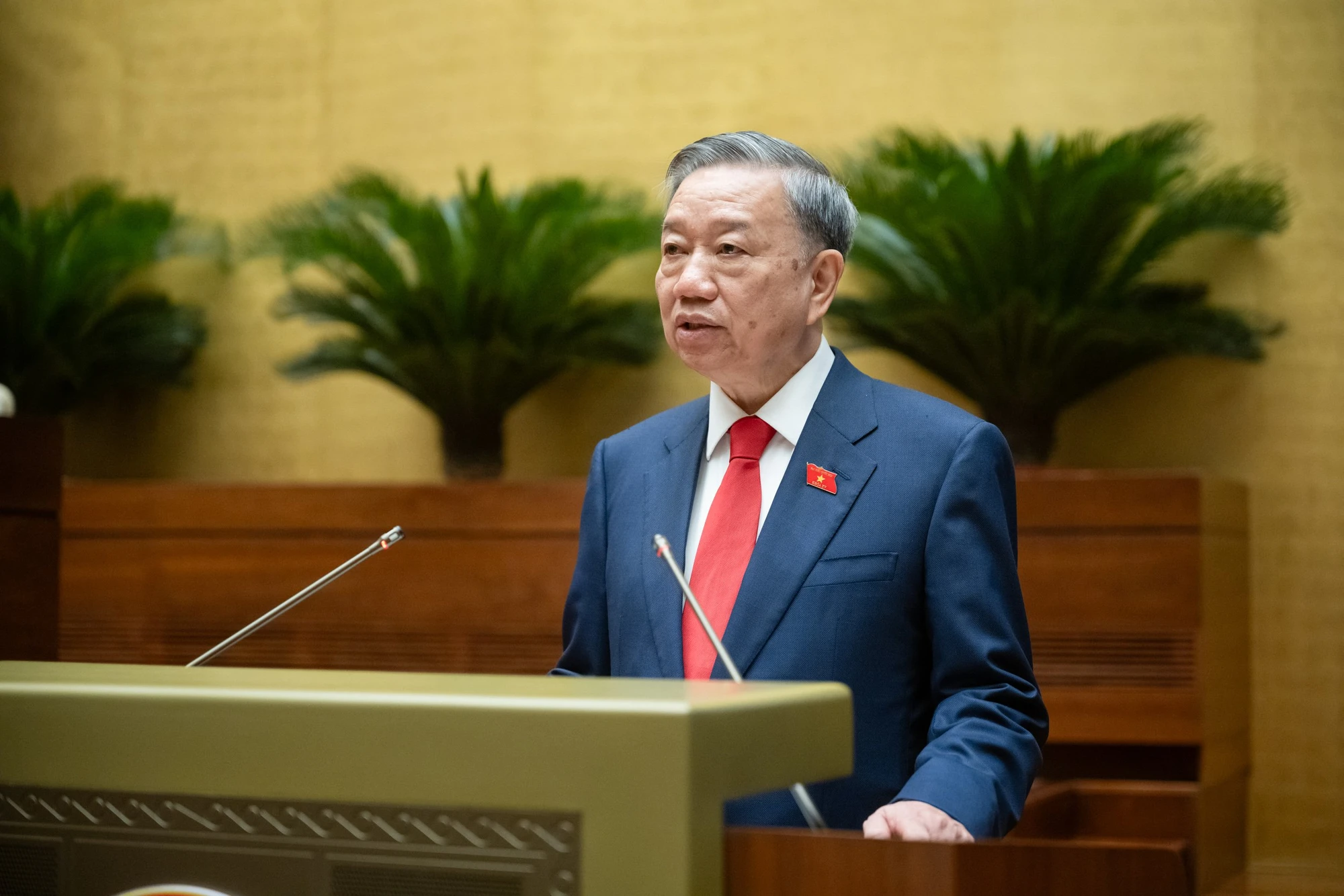 dai-tuong-to-lam-bo-truong-bo-cong-an-duoc-bau-giu-chuc-chu-tich-nuoc-1.jpg