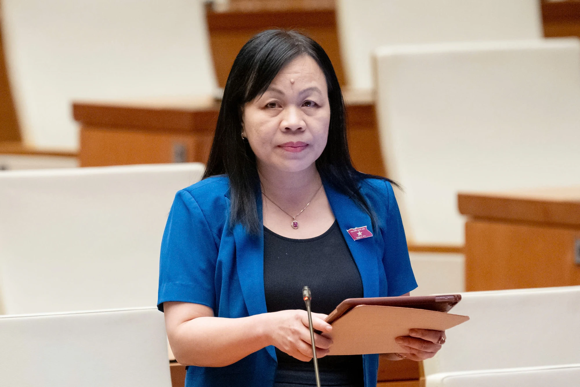 sap-nhap-tinh-quyet-dinh-lich-su-nguyen-thi-mai-hoa.jpg