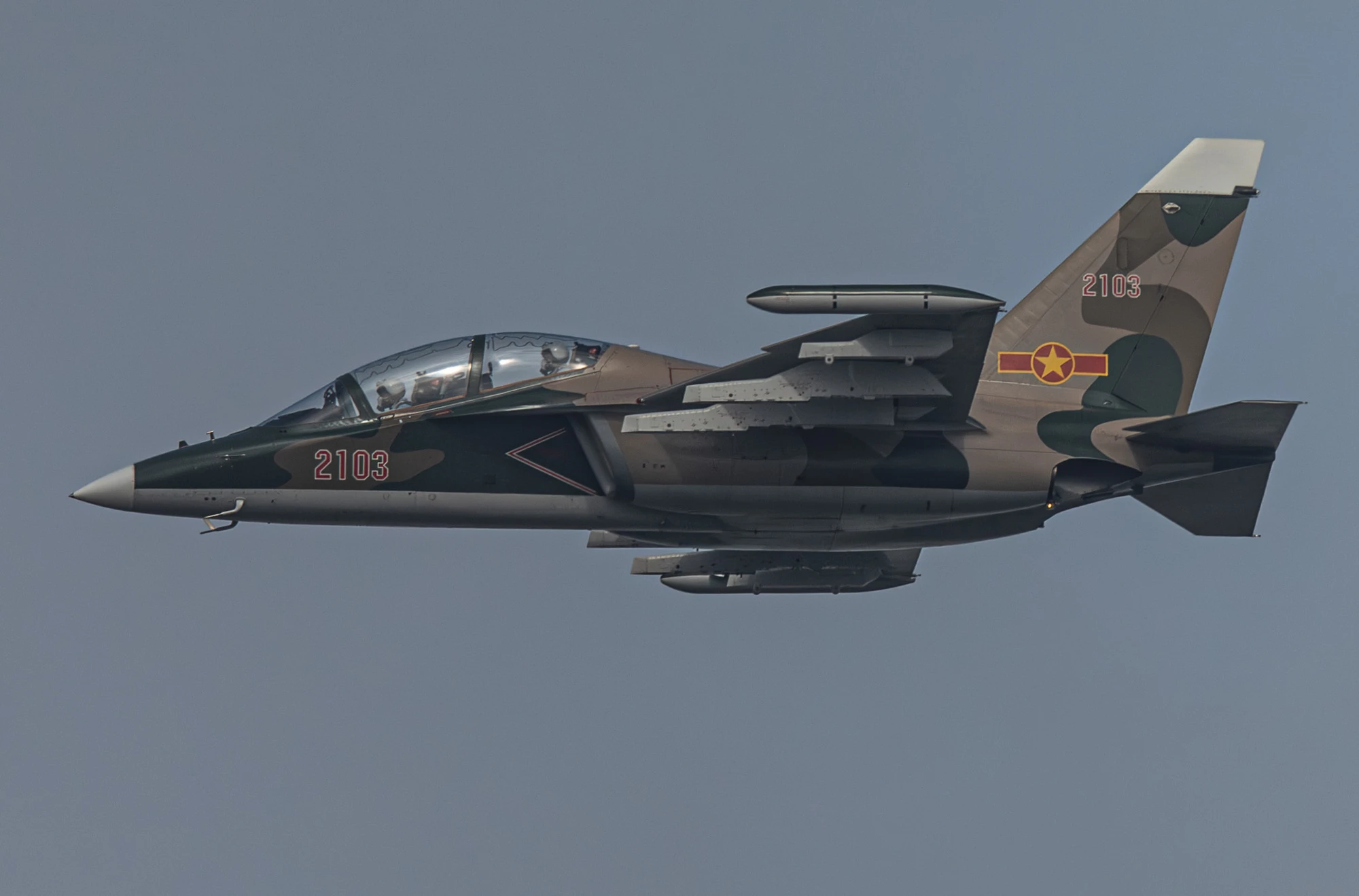 A80-dai-le-dieu-binh-dieu-hanh-quang-anh-17.jpg