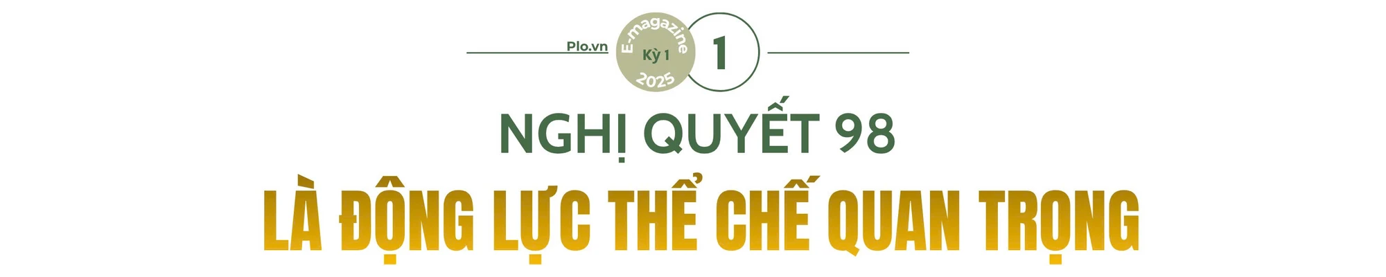 sua-nghi-quyet-98-mo-duong-cho-tp-hcm-but-pha-ST1-1.jpg