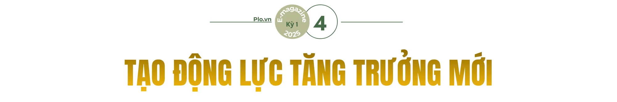 sua-nghi-quyet-98-mo-duong-cho-tp-hcm-but-pha-ST4-1.jpg
