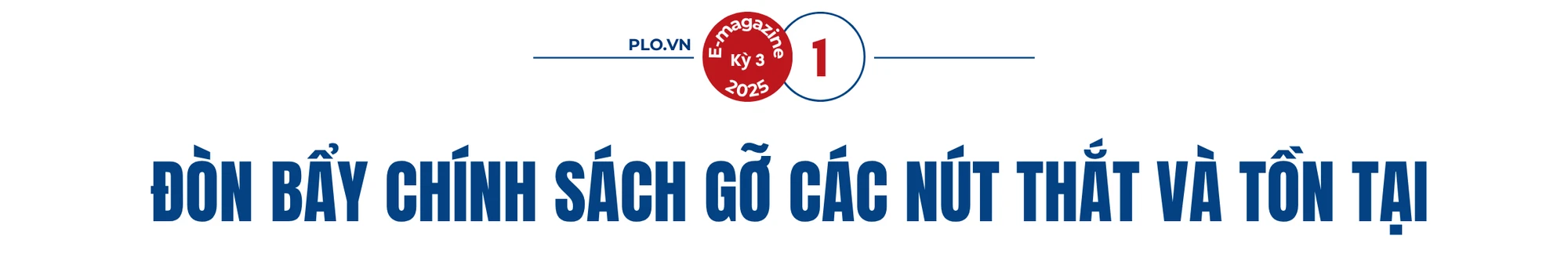 nghi-quyet-98-sua-doi-tao-da-tang-truong-than-toc-cho-tp-hcm-stt1.png