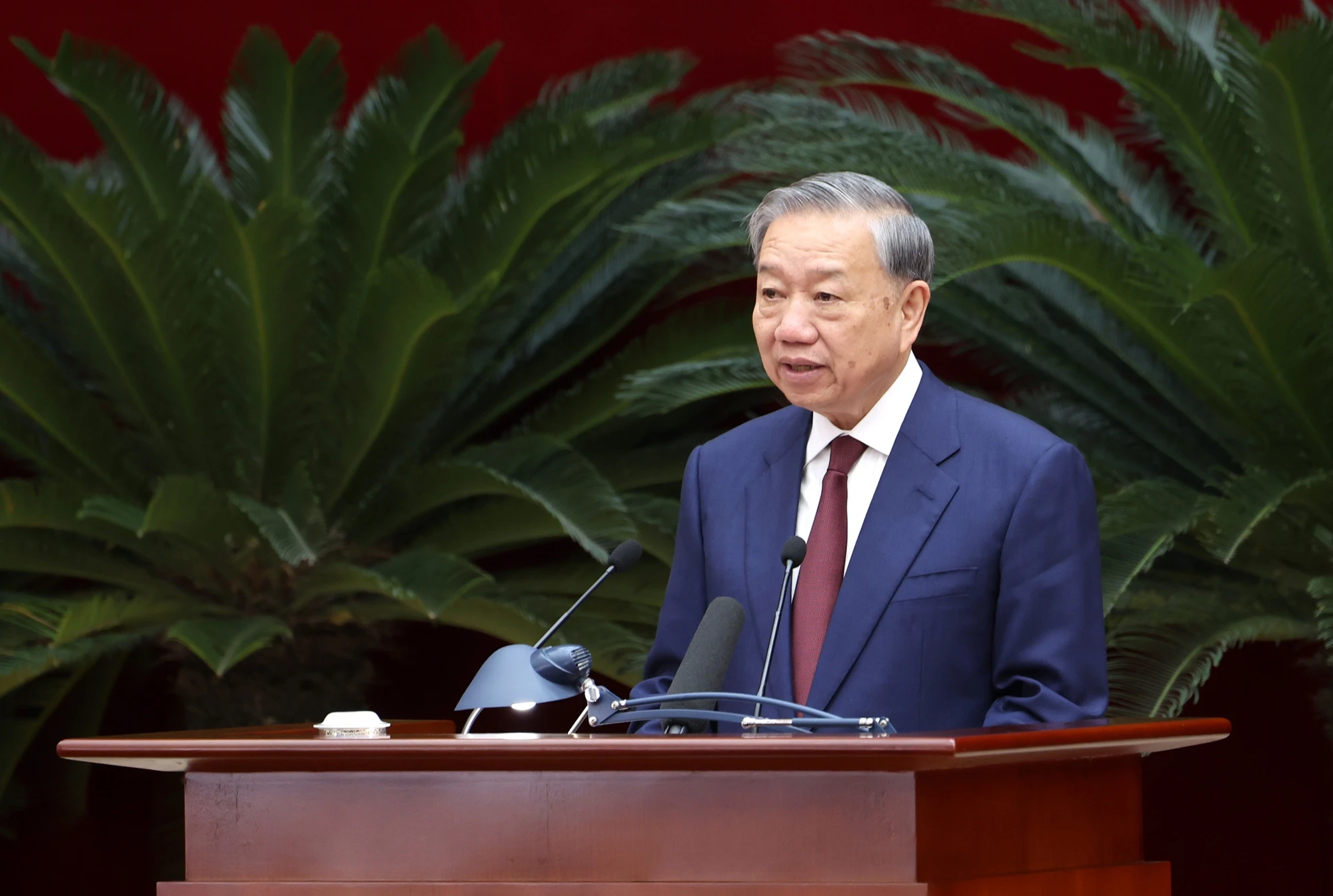 tong-bi-thu-to-lam-vgp.jpg