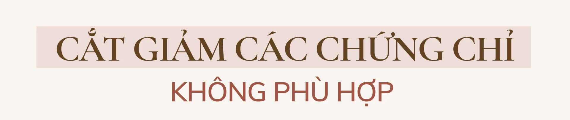 Bộ trưởng Bộ Nội vụ: Phải đổi mới, không có lựa chọn khác ảnh 5