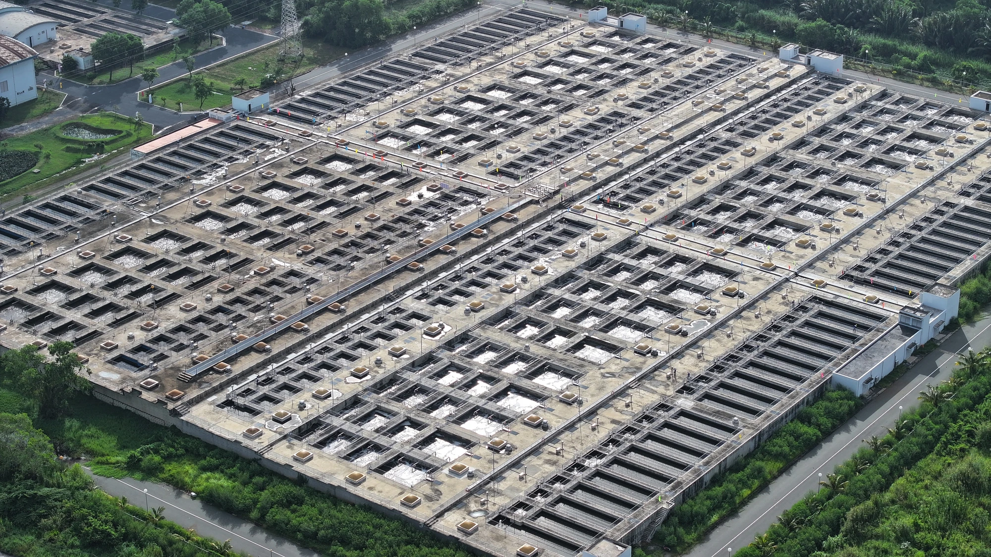DJI_20240831081256_0683_D.JPG