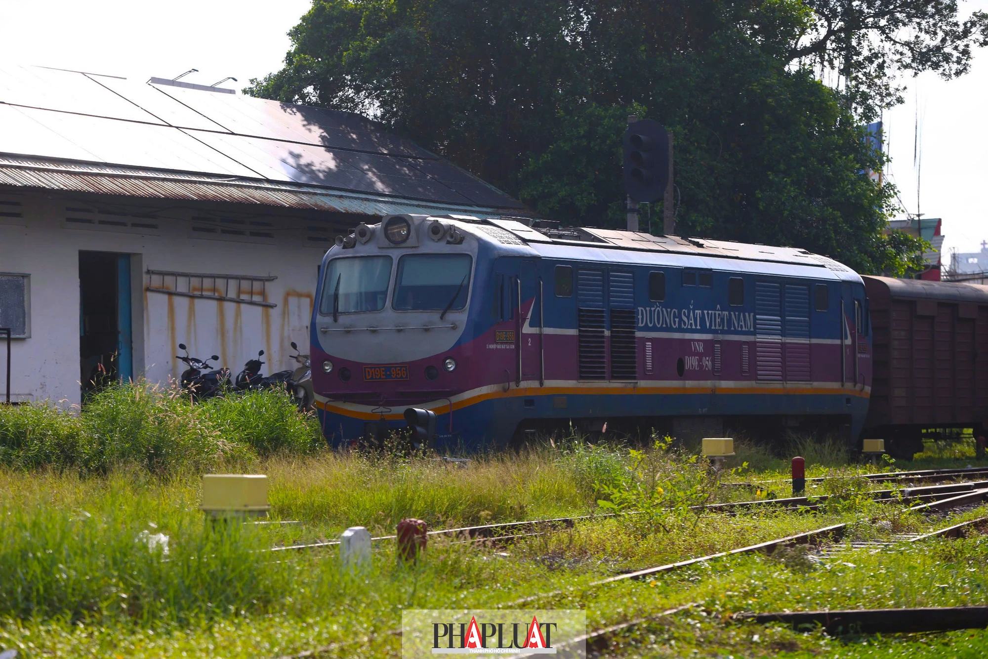 ga-binh-trieu-6.jpg