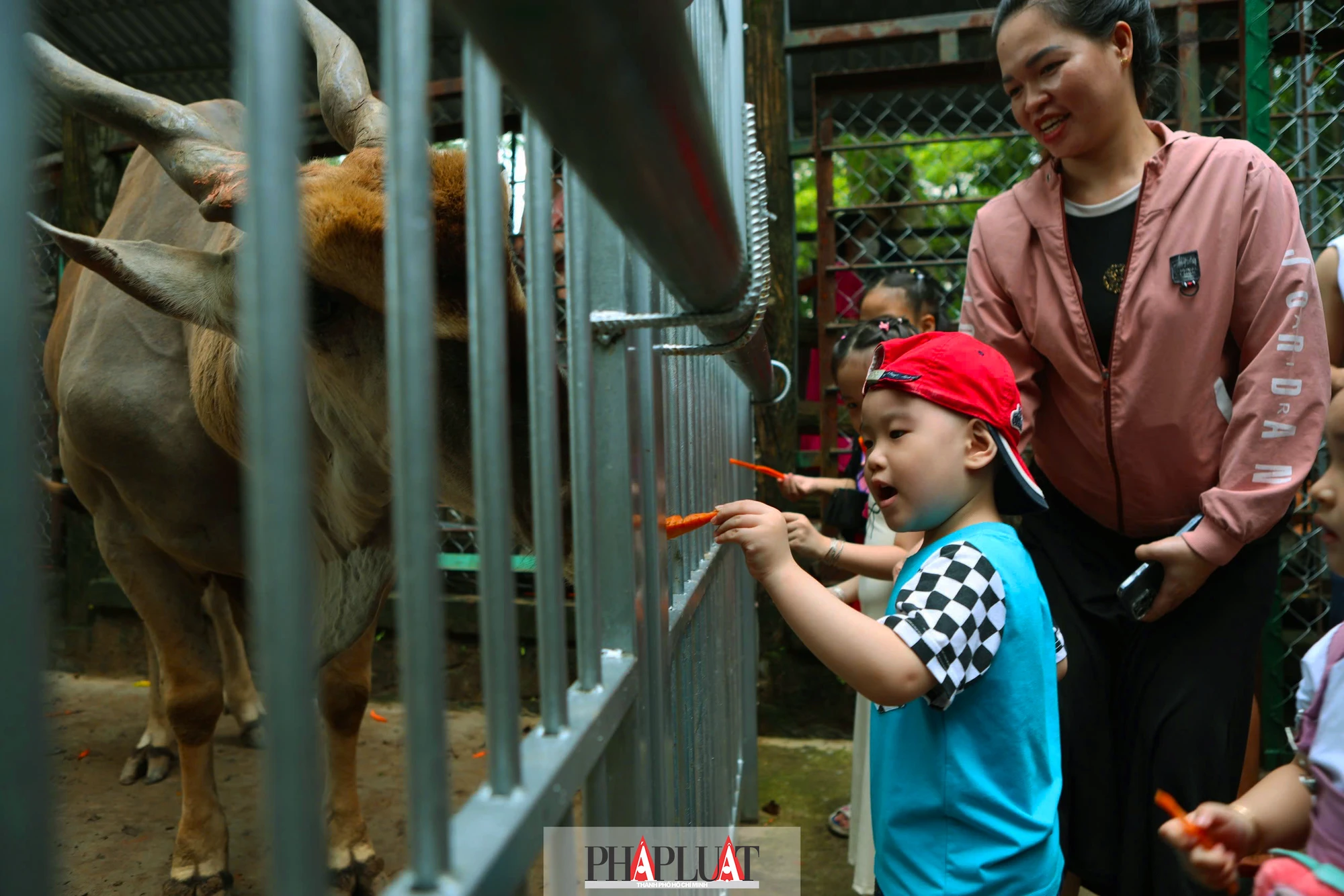 thao-cam-vien-17.jpg