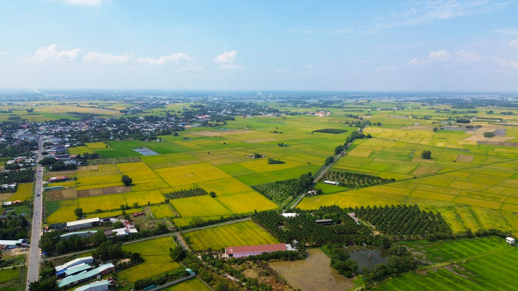 cao tốc TP.HCM - Mộc Bài.jpg