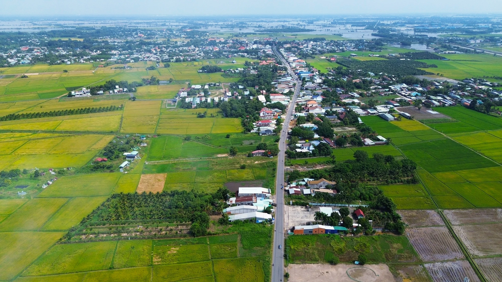 cao tốc TP.HCM - Mộc Bài (36).jpg