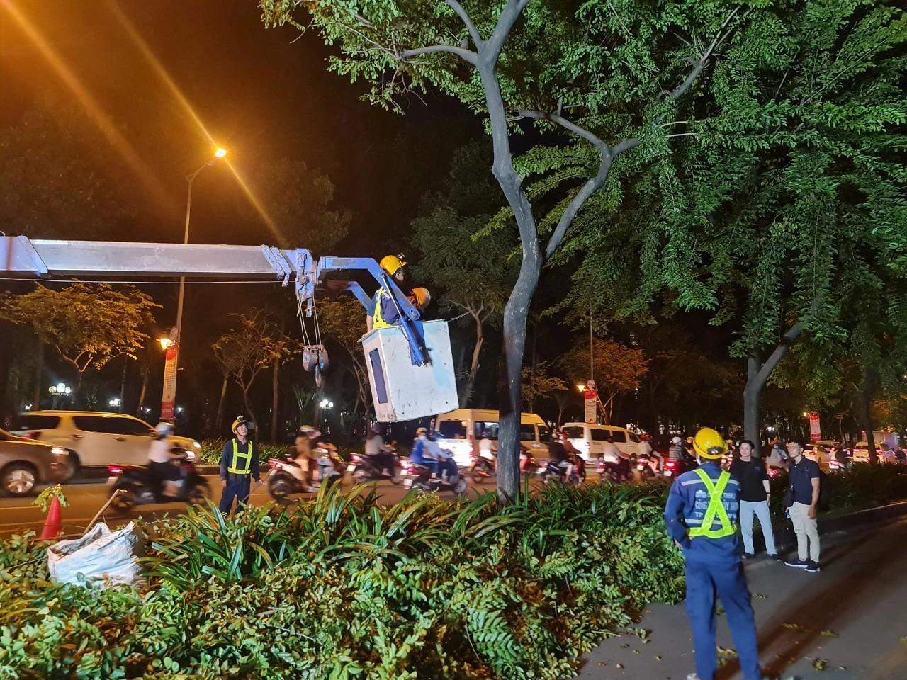 Cắt tỉa cây xanh vào ban đêm sẽ giảm kẹt xe. Cắt tỉa cây xanh vào ban đêm sẽ giảm kẹt xe.