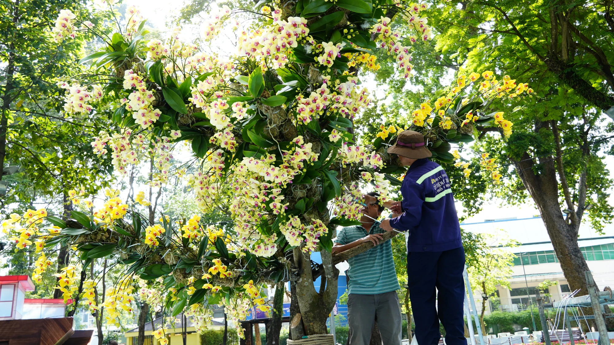 Đơn vị thi công thiết kế các tác phẩm Đơn vị thi công thiết kế các tác phẩm