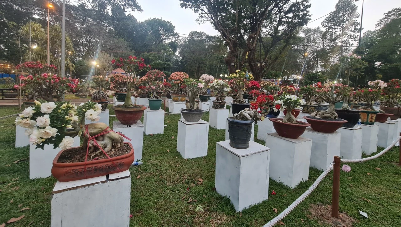 Bộ sưu tập hoa sứ Bộ sưu tập hoa sứ