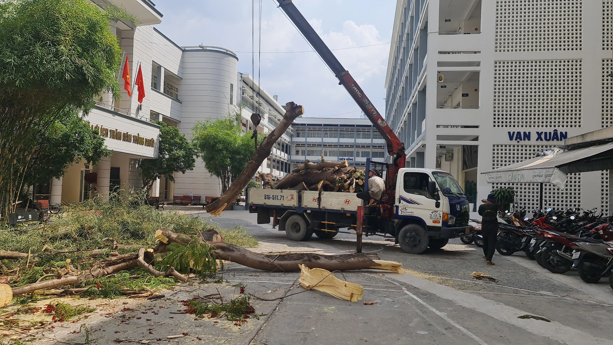 Cây xanh sau khi được đốn hạ vào chiều 24-4 Cây xanh sau khi được đốn hạ vào chiều 24-4