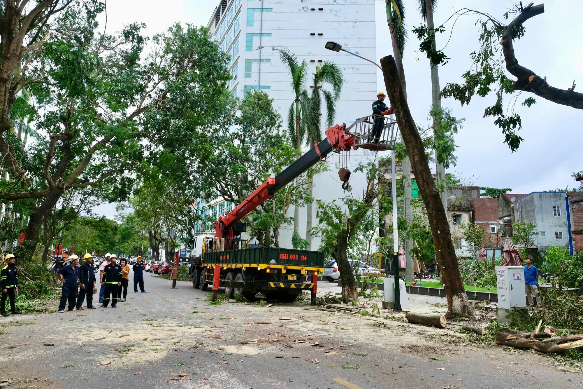 bão số 3 cây xanh hải phòng 10.jpg