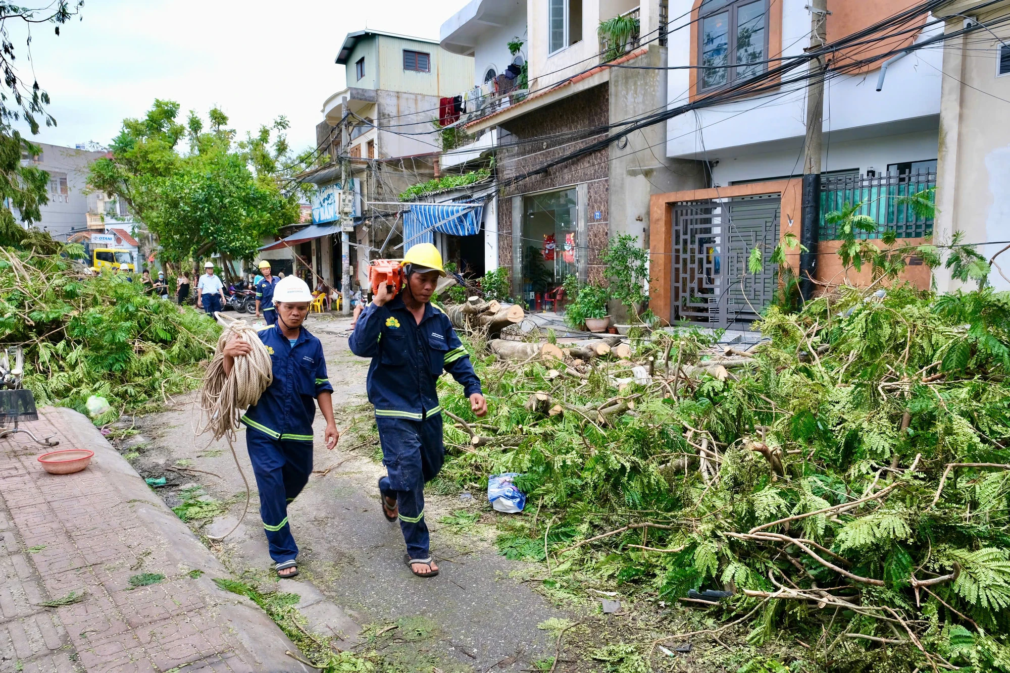 bão số 3 cây xanh hải phòng 11.jpg