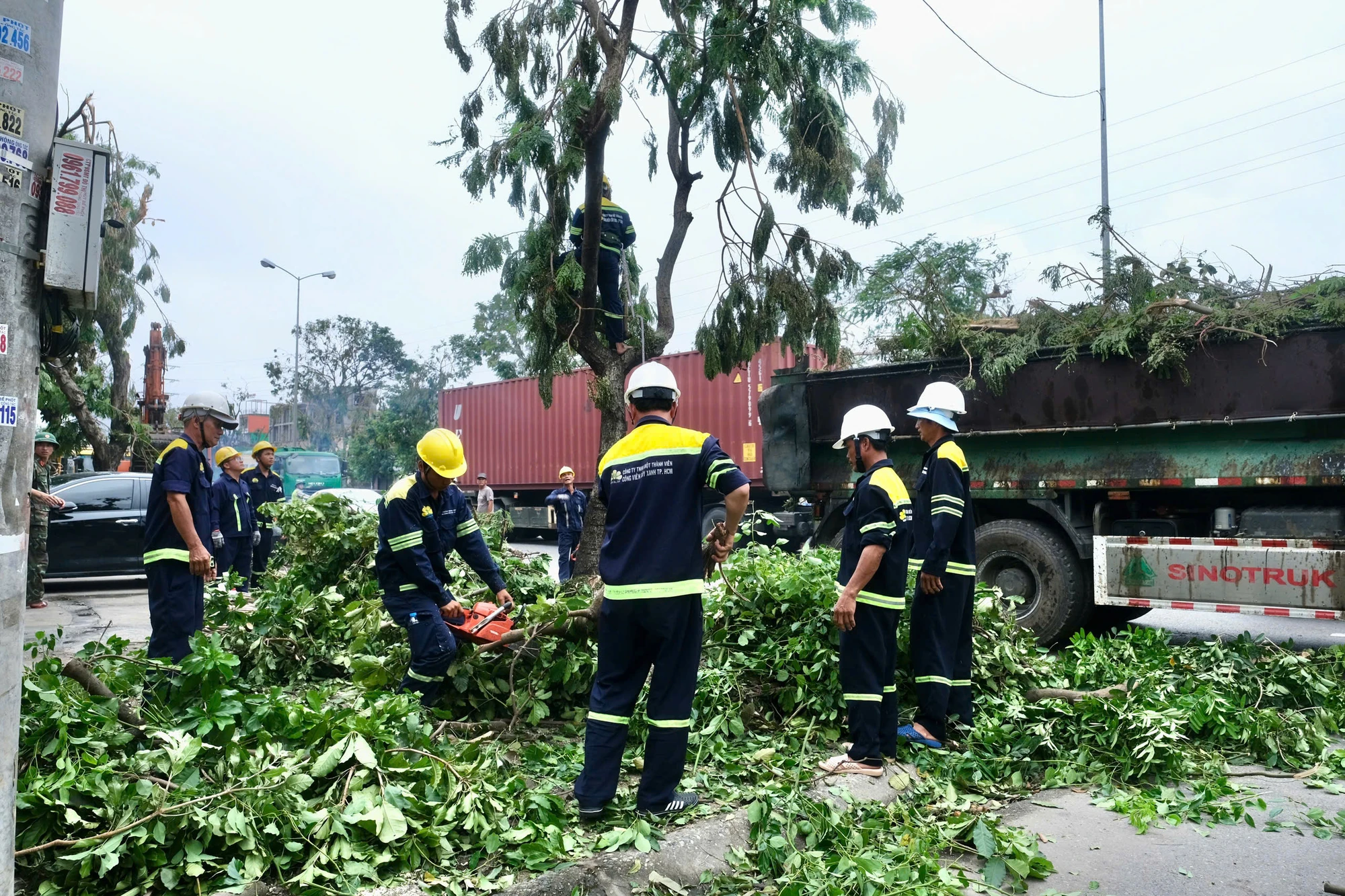 bão số 3 cây xanh hải phòng 8.jpg