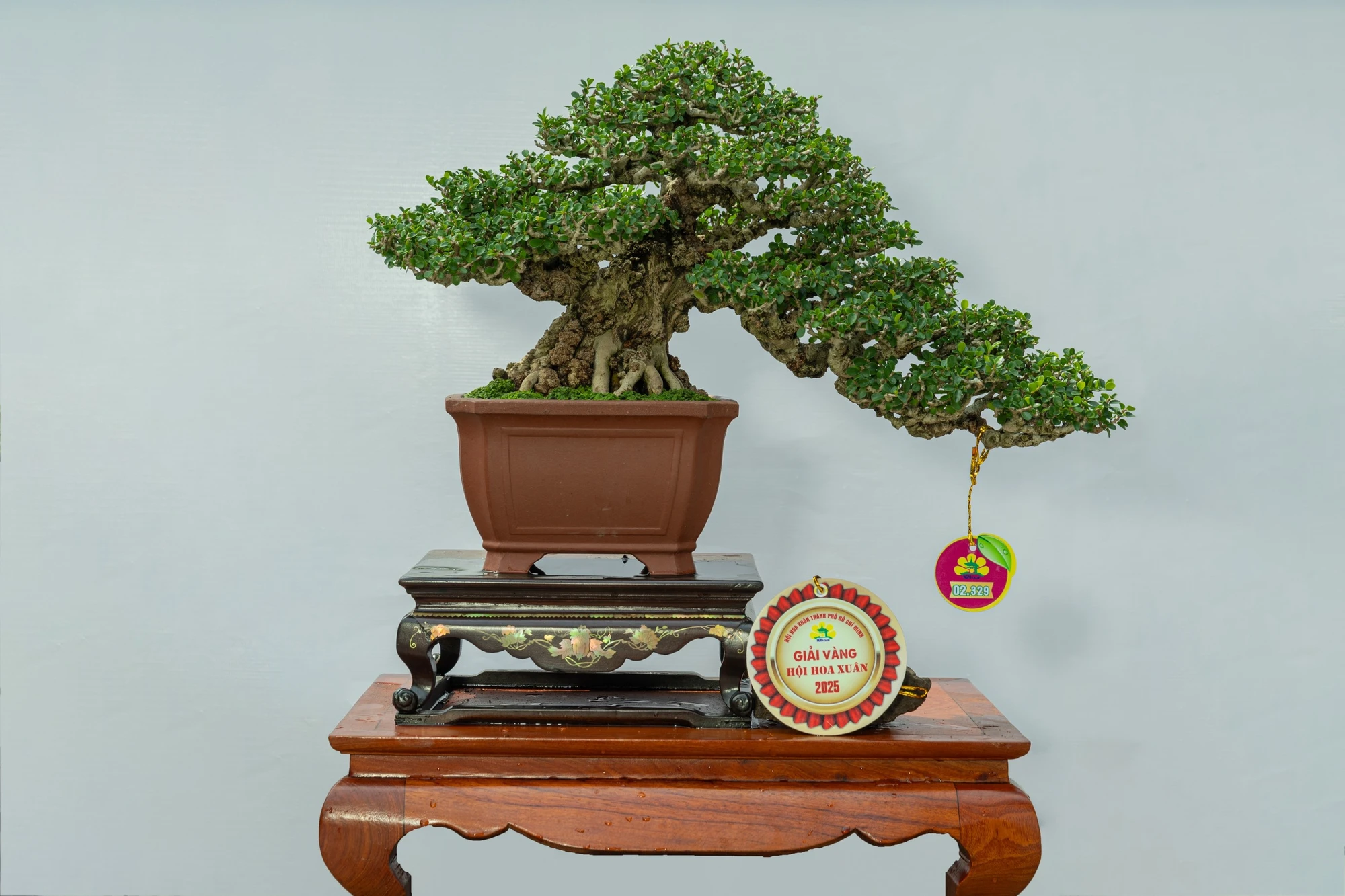 hội hoa xuân 5.jpg