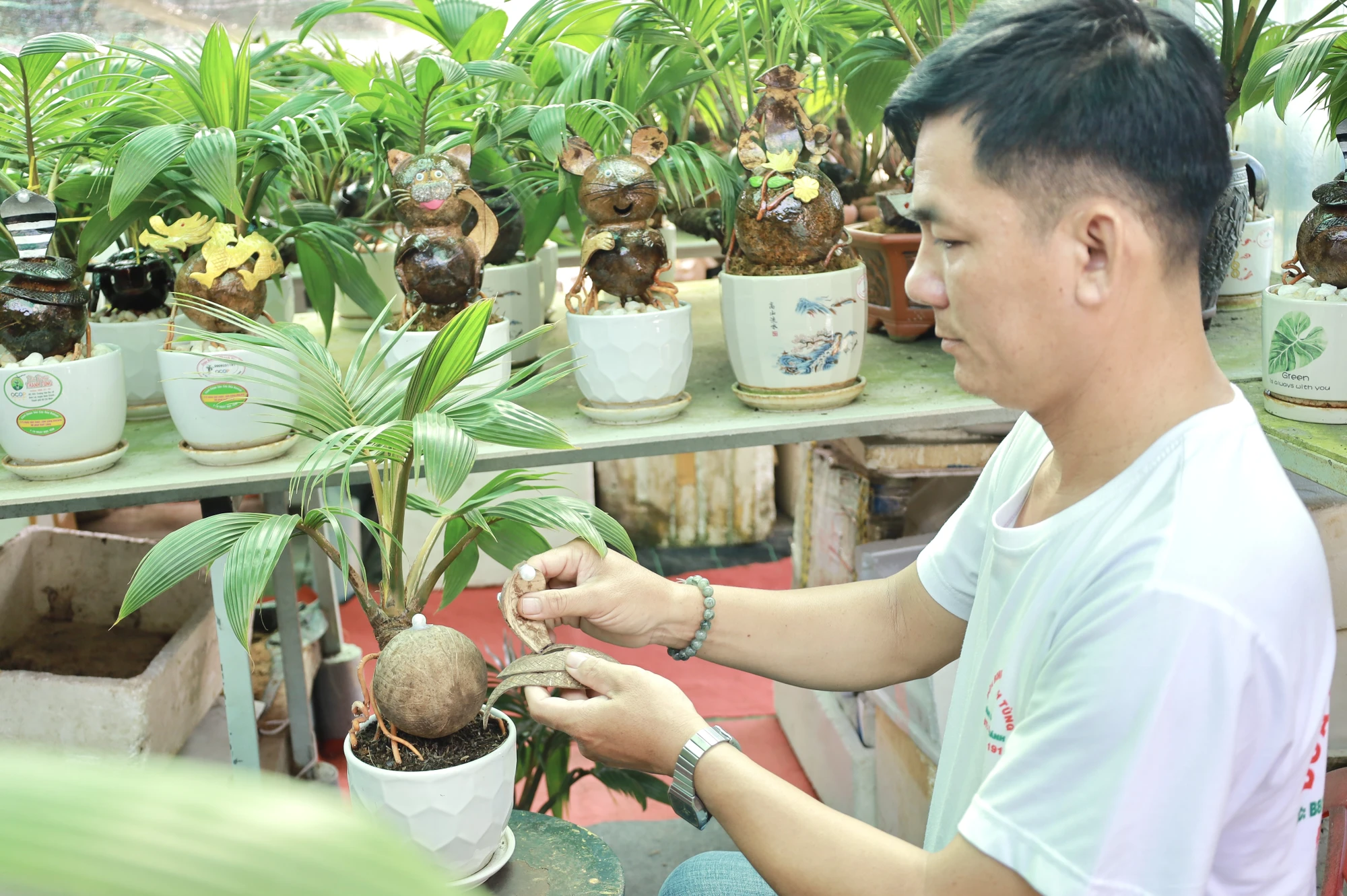 IMG_0480trinh-lang-dua-bonsai-ran-ngam-ngoc-doc-dao-cho-dip-tet-at-ty-2025-post0.html.jpg