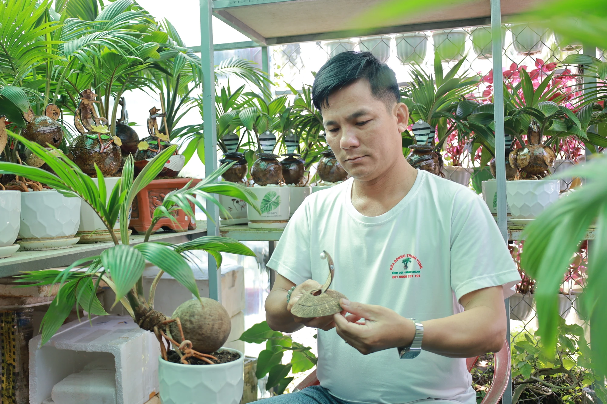 IMG_0484trinh-lang-dua-bonsai-ran-ngam-ngoc-doc-dao-cho-dip-tet-at-ty-2025-post0.html.JPG