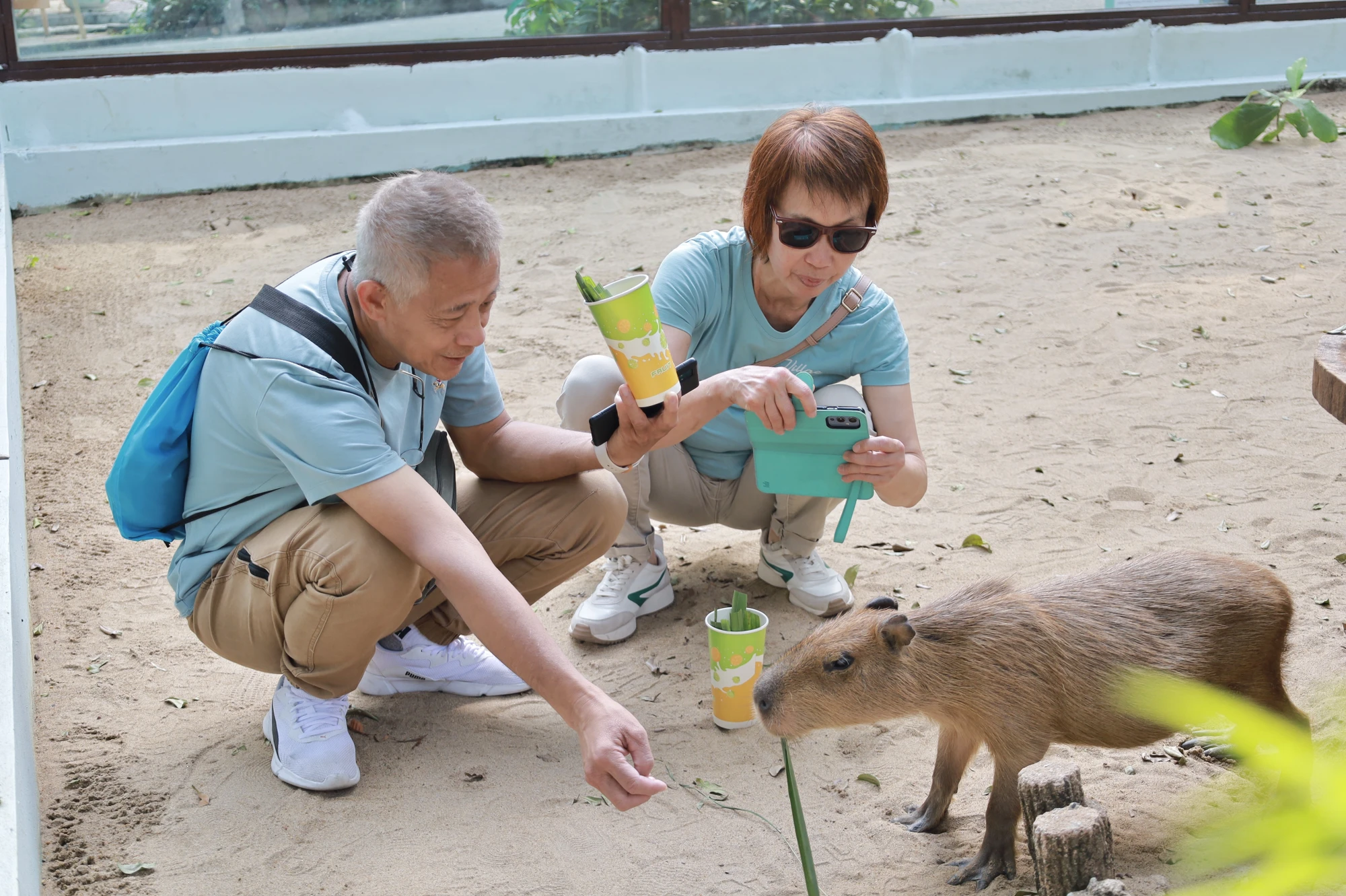 IMG_0873capybara-ngoai-doi-that-gay-sot-nguoi-dan-tp-hcm-cho-toi-luot-de-duoc-vuot-ve-post0capybara-ngoai-doi-that-gay-sot-nguoi-dan-tp-hcm-cho-toi-luot-de-duoc-vuot-ve-post0.html.html.jpg