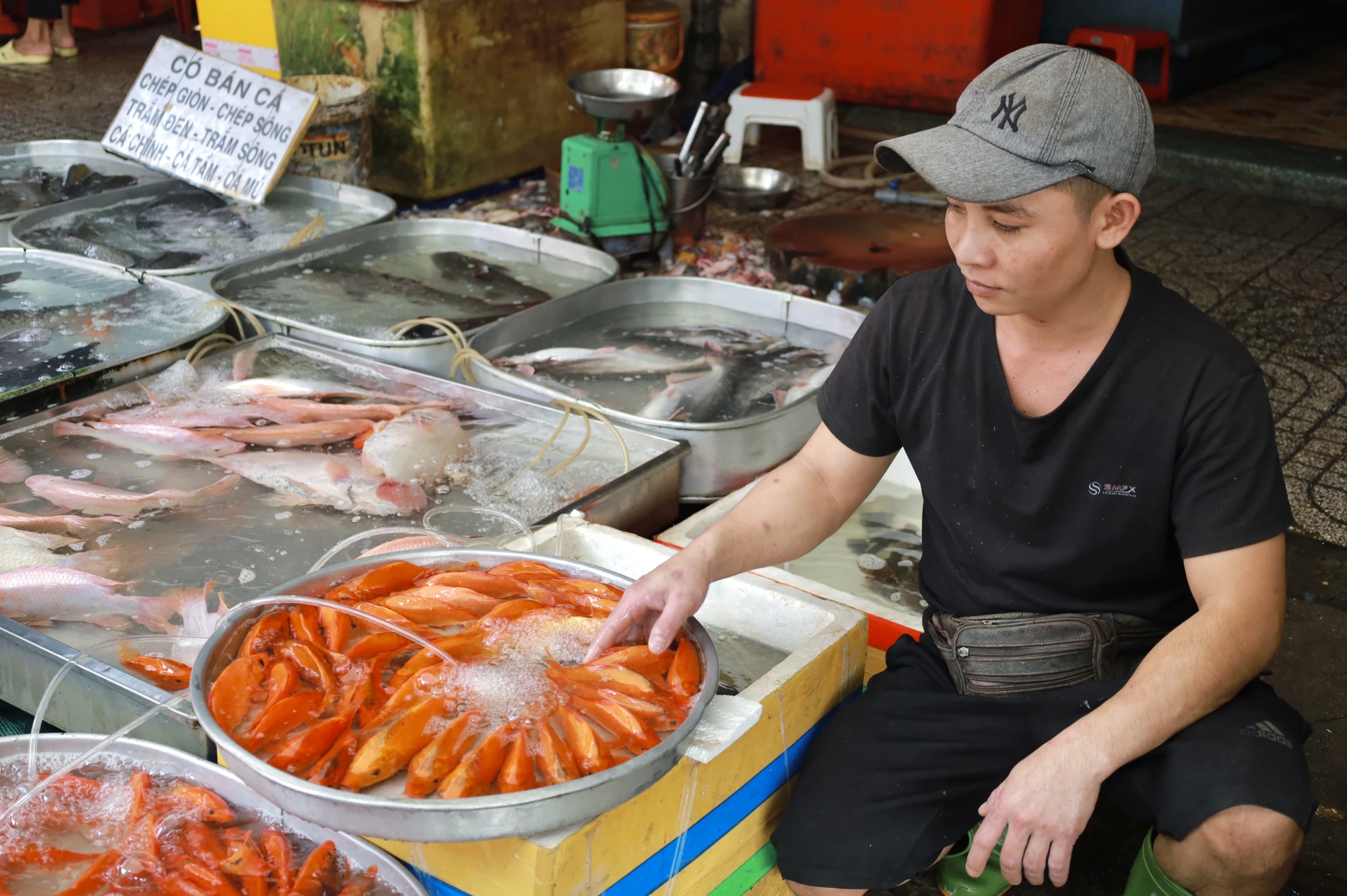 IMG_1417thi-truong-ca-chep-vang-ma-am-dam-trong-ngay-dua-ong-tao-ve-troi-post0.html.jpg