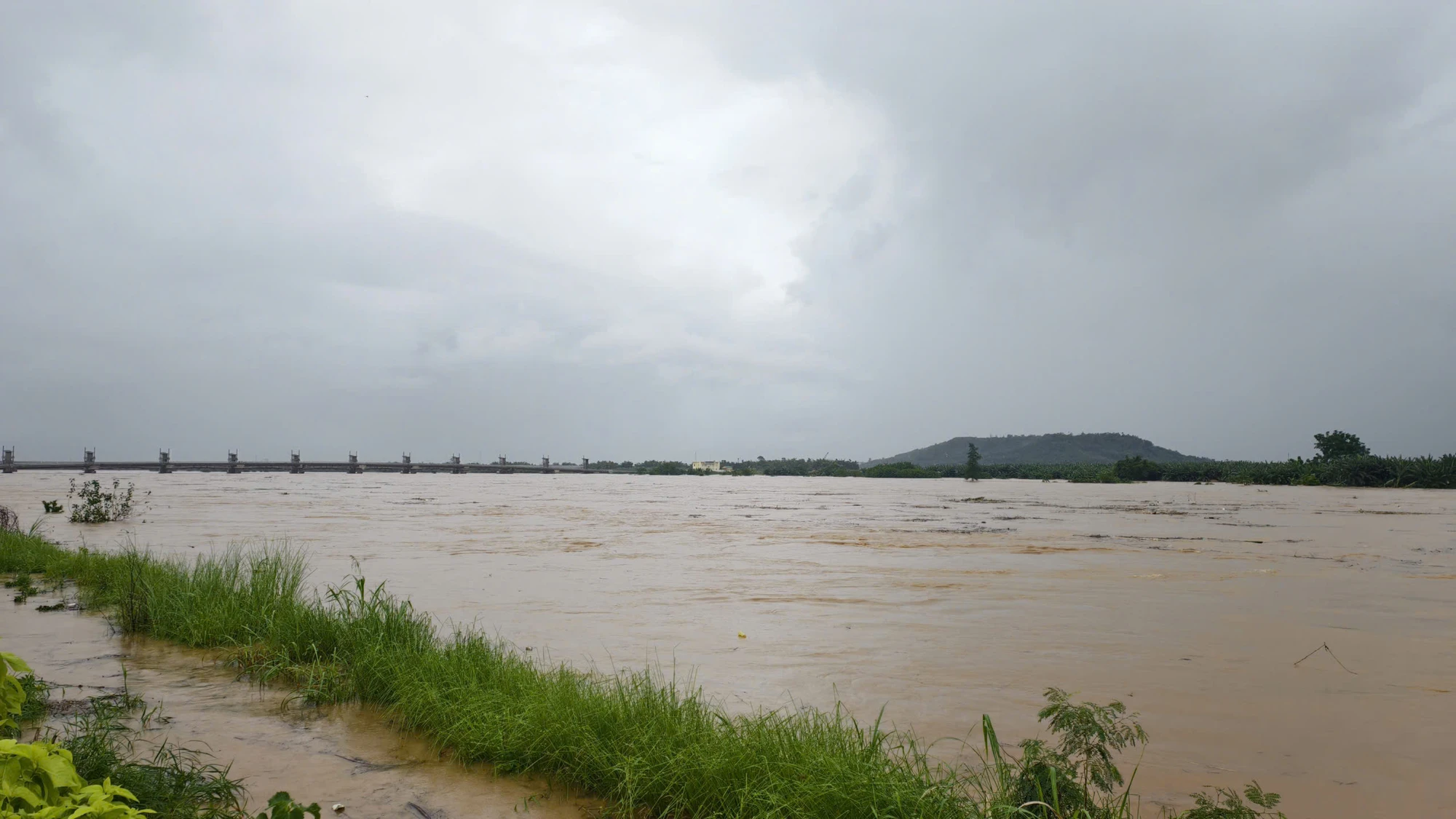 :dang-dua-nhieu-nguoi-ket-giua-dong-tra-khuc-vao-bo-post878258.html16.jpg