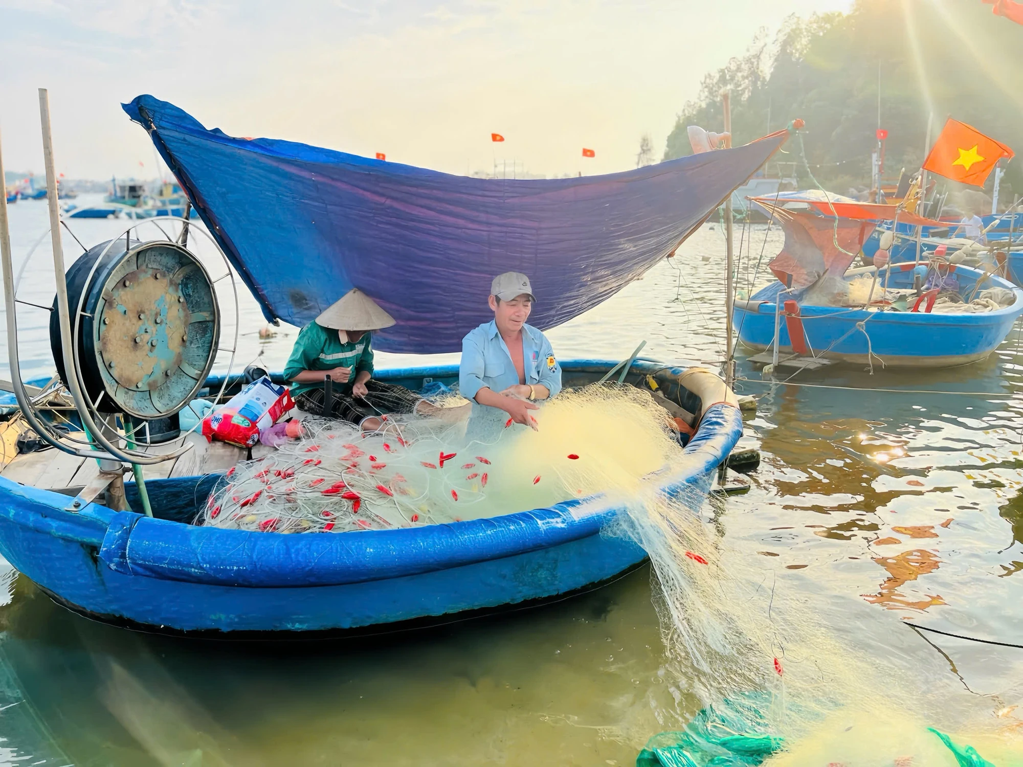 quang-ngai-lang-bien-son-tra-giu-nghe-luoi-thung-giua-thoi-bien-kho-post883903.htmlggh.JPG