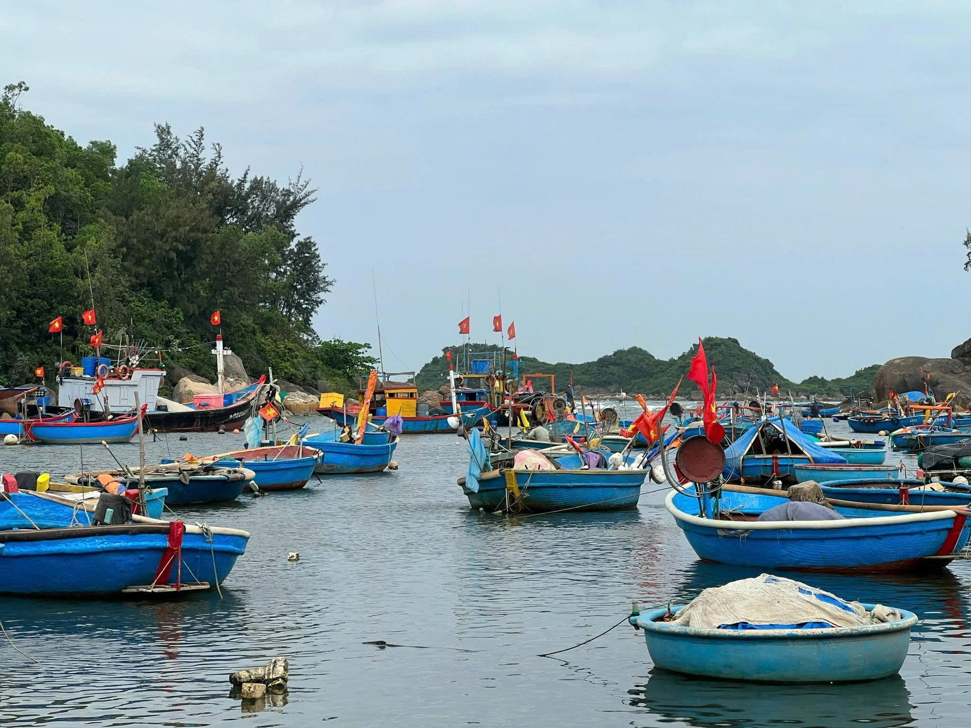 Quảng Ngãi: Làng biển Sơn Trà giữ nghề lưới thúng giữa thời biển khó 3.htmlt.JPG