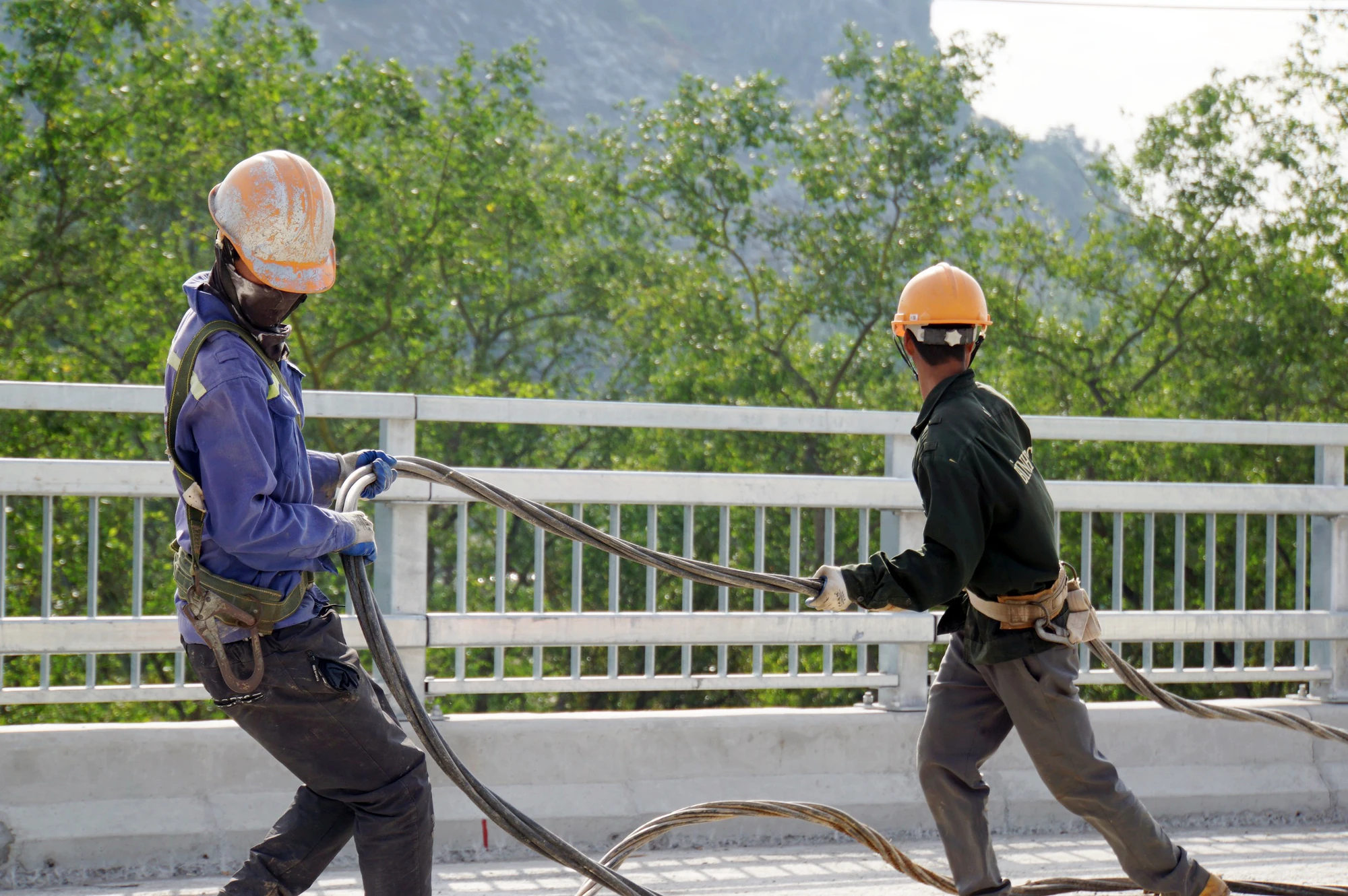 hon-300-cong-nhan-xuyen-tet-gap-rut-hoan-thanh-cau-ben-rung-noi-hai-phong-voi-quang-ninh-5-4429.jpg