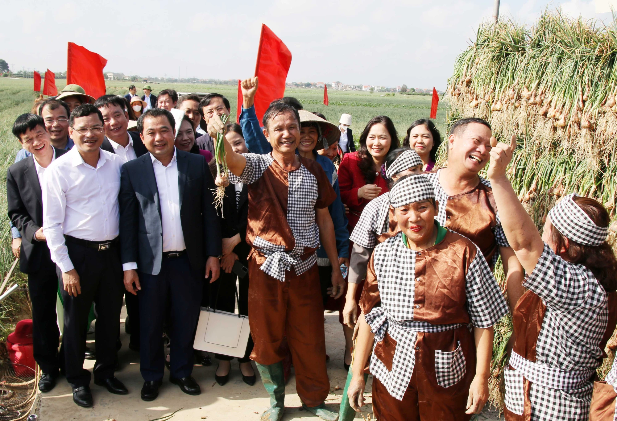 Độc đáo cuộc thi thu hoạch hành, tỏi ở ‘thủ phủ’ hành, tỏi Hải Dương