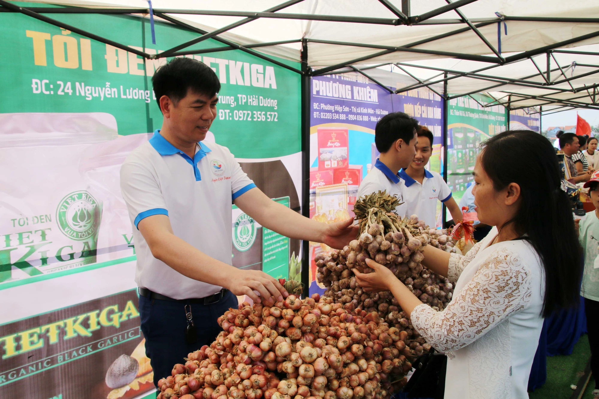 doc-dao-cuoc-thi-thu-hoach-hanh-toi-o-thu-phu-hanh-toi-hai-duong-5.JPG