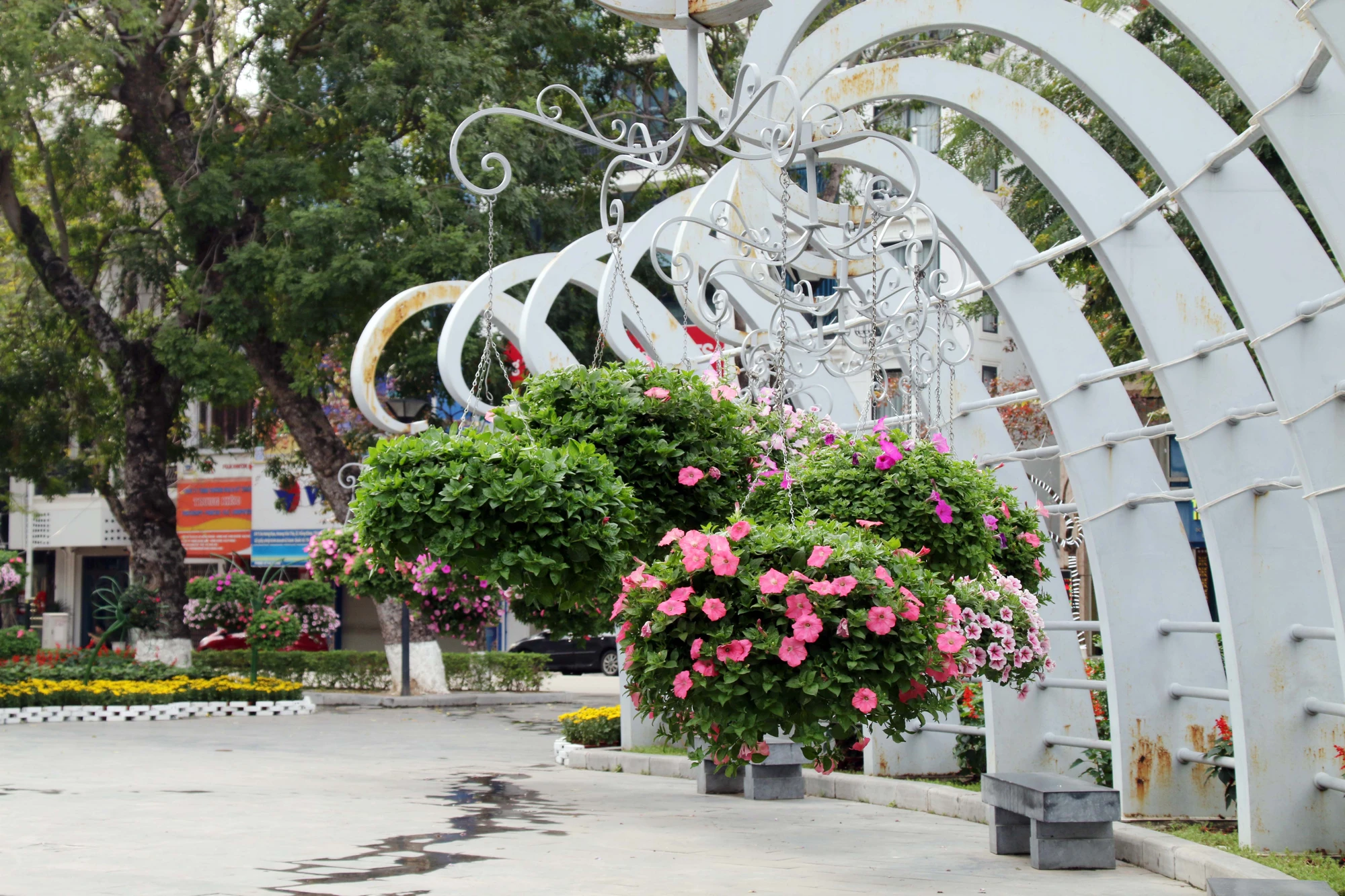 nguoi-dan-hai-phong-no-nuc-check-in-tai-dai-vuon-hoa-trung-tam-thanh-pho-11.JPG