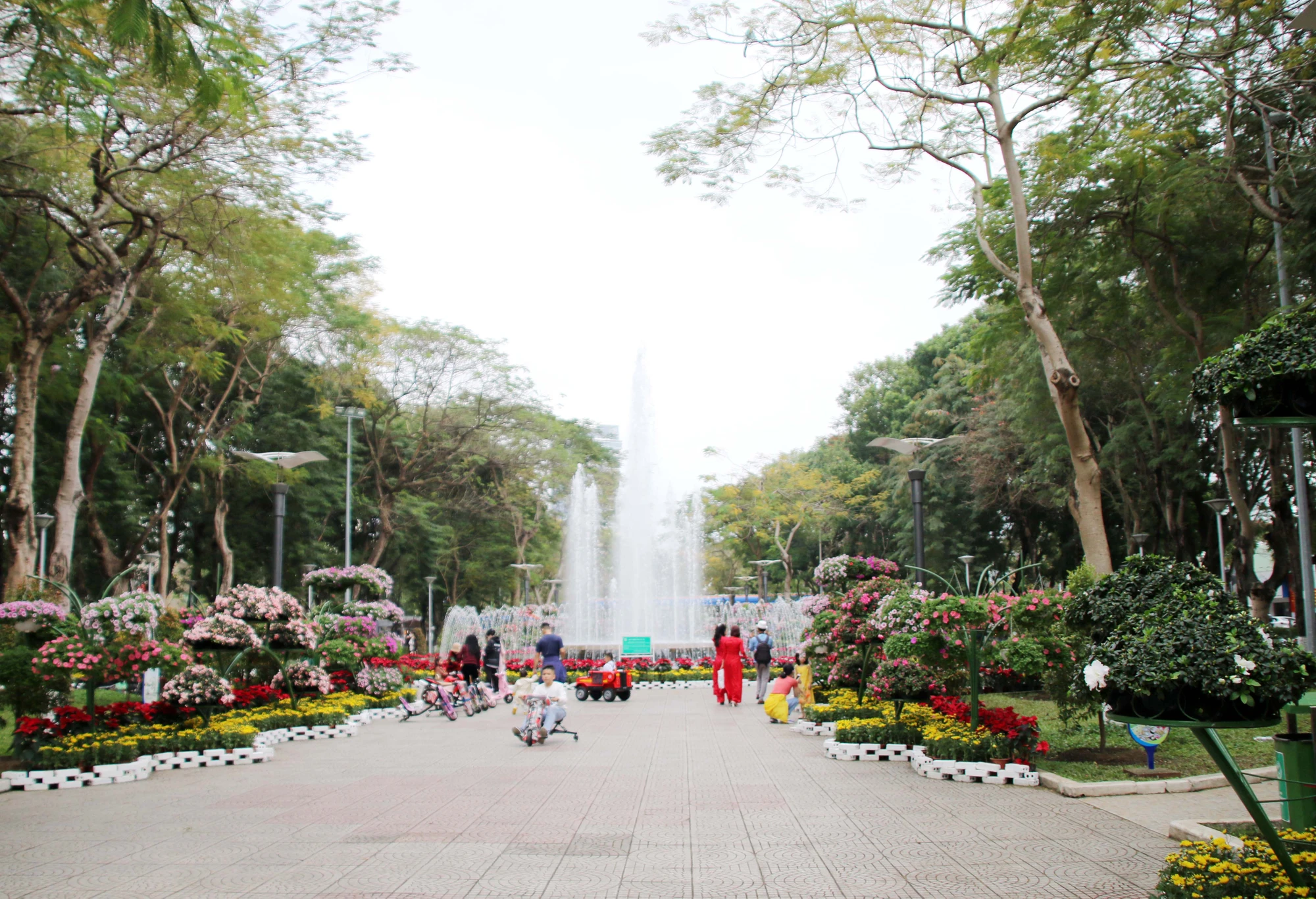 nguoi-dan-hai-phong-no-nuc-check-in-tai-dai-vuon-hoa-trung-tam-thanh-pho-6.JPG